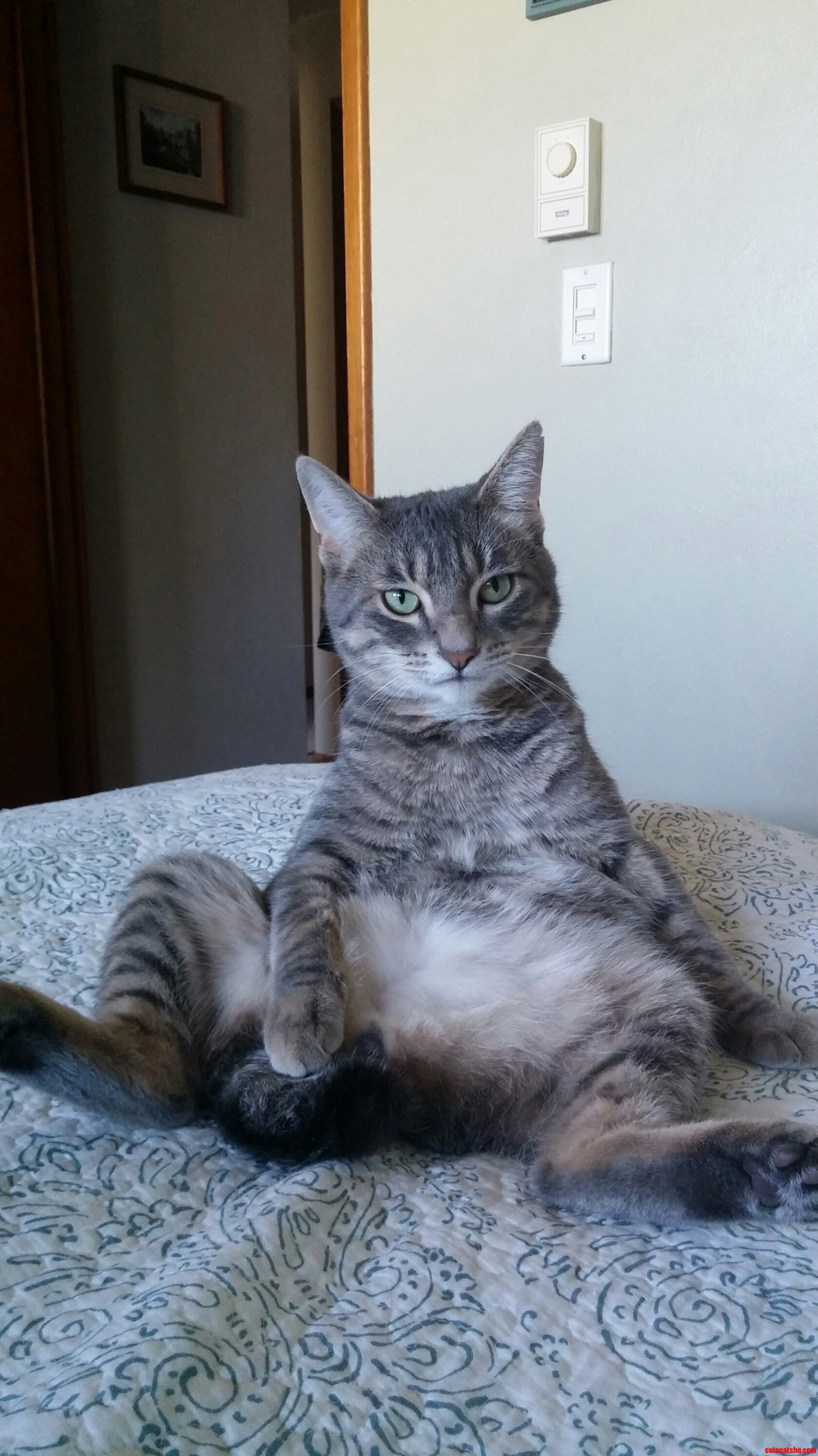 Well Hello There.