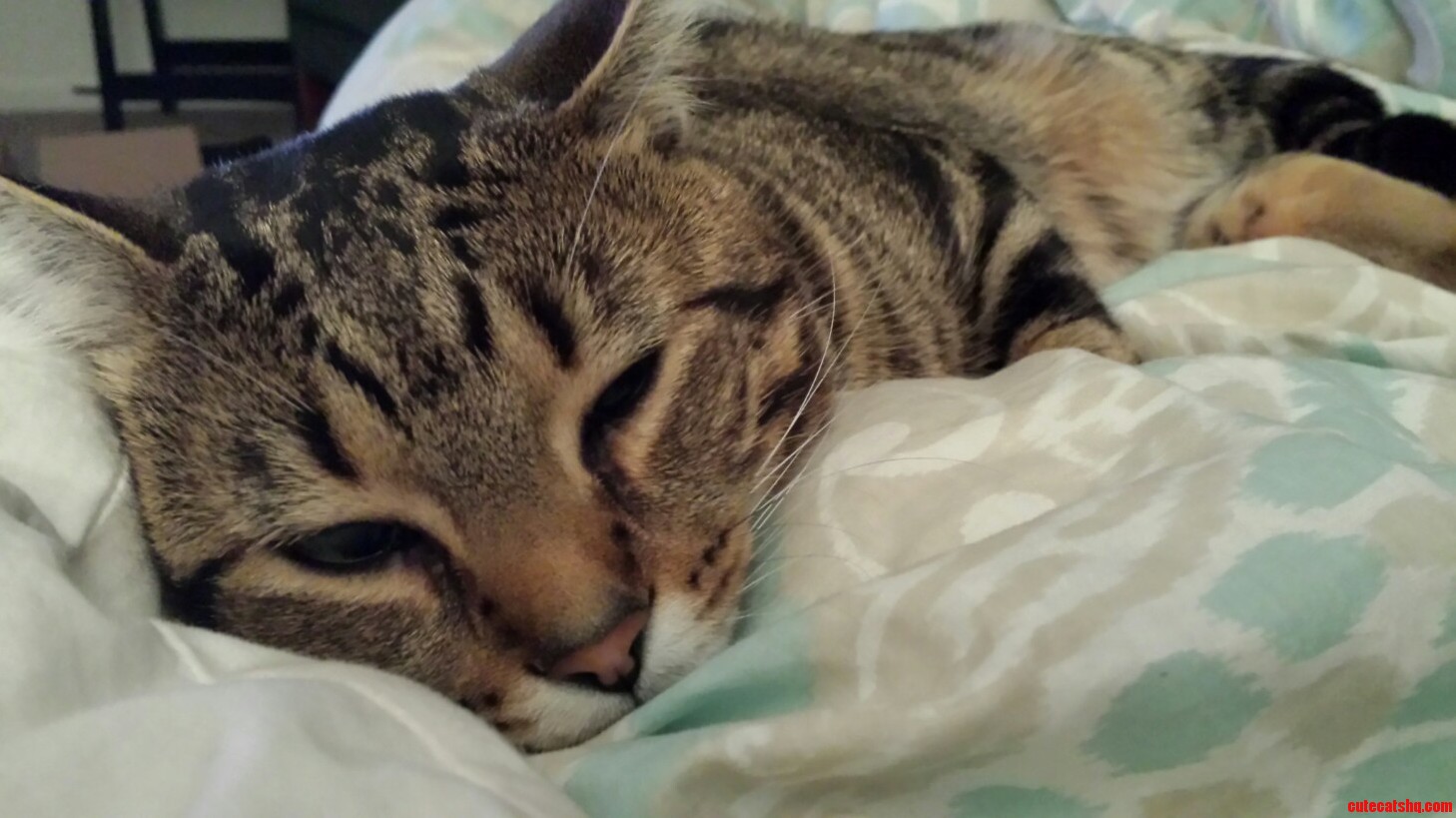 What a Life.