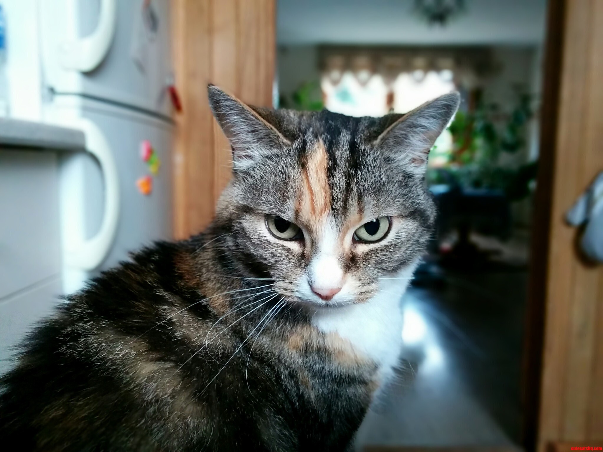 What Did You Say