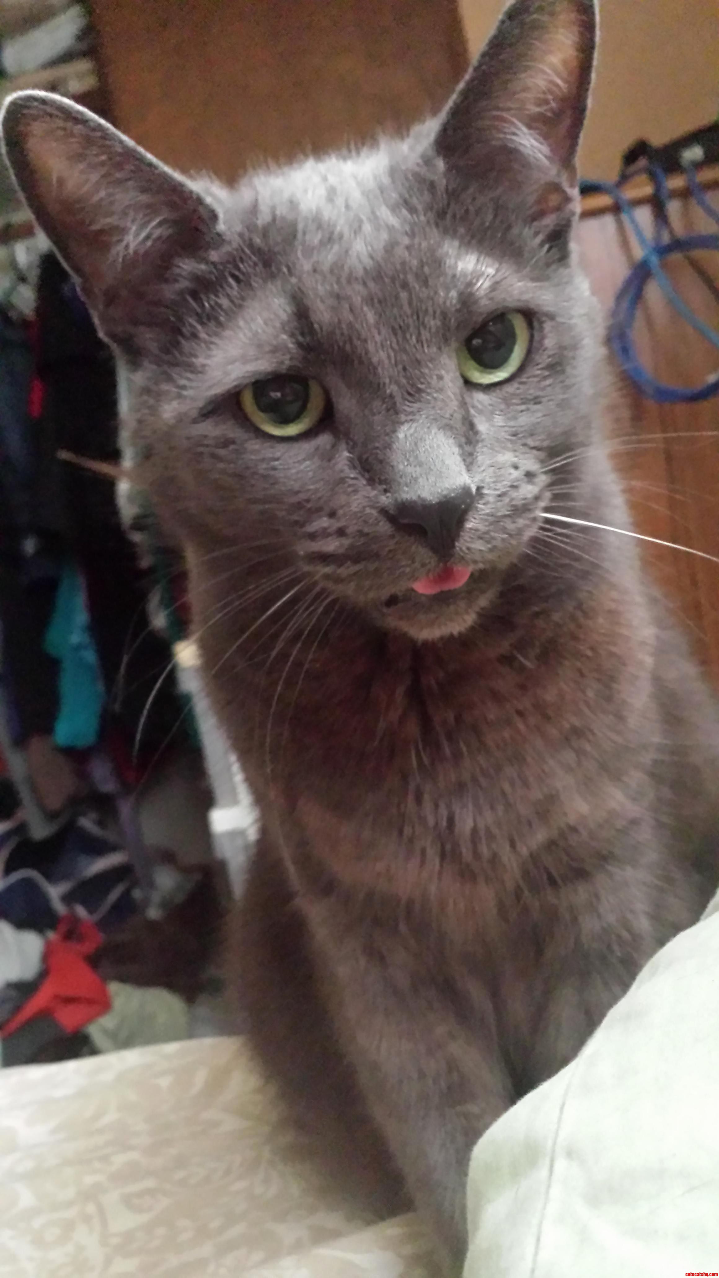 What What Are You Lookin at