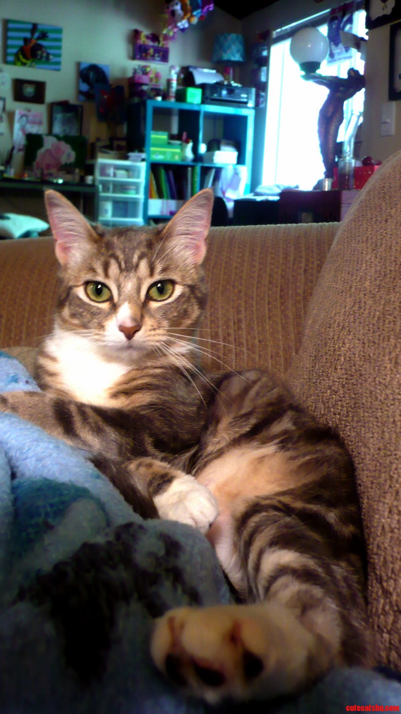 Why Do I Feel Like Shes Judging Me