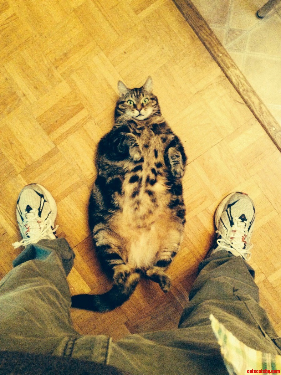 Wot