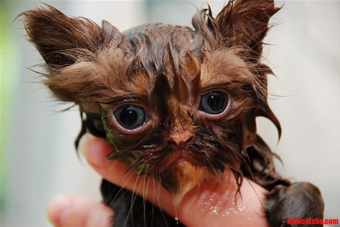 After Shower