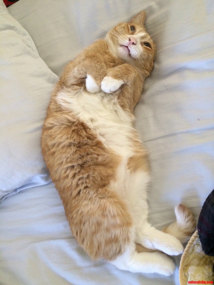 Am I Cute