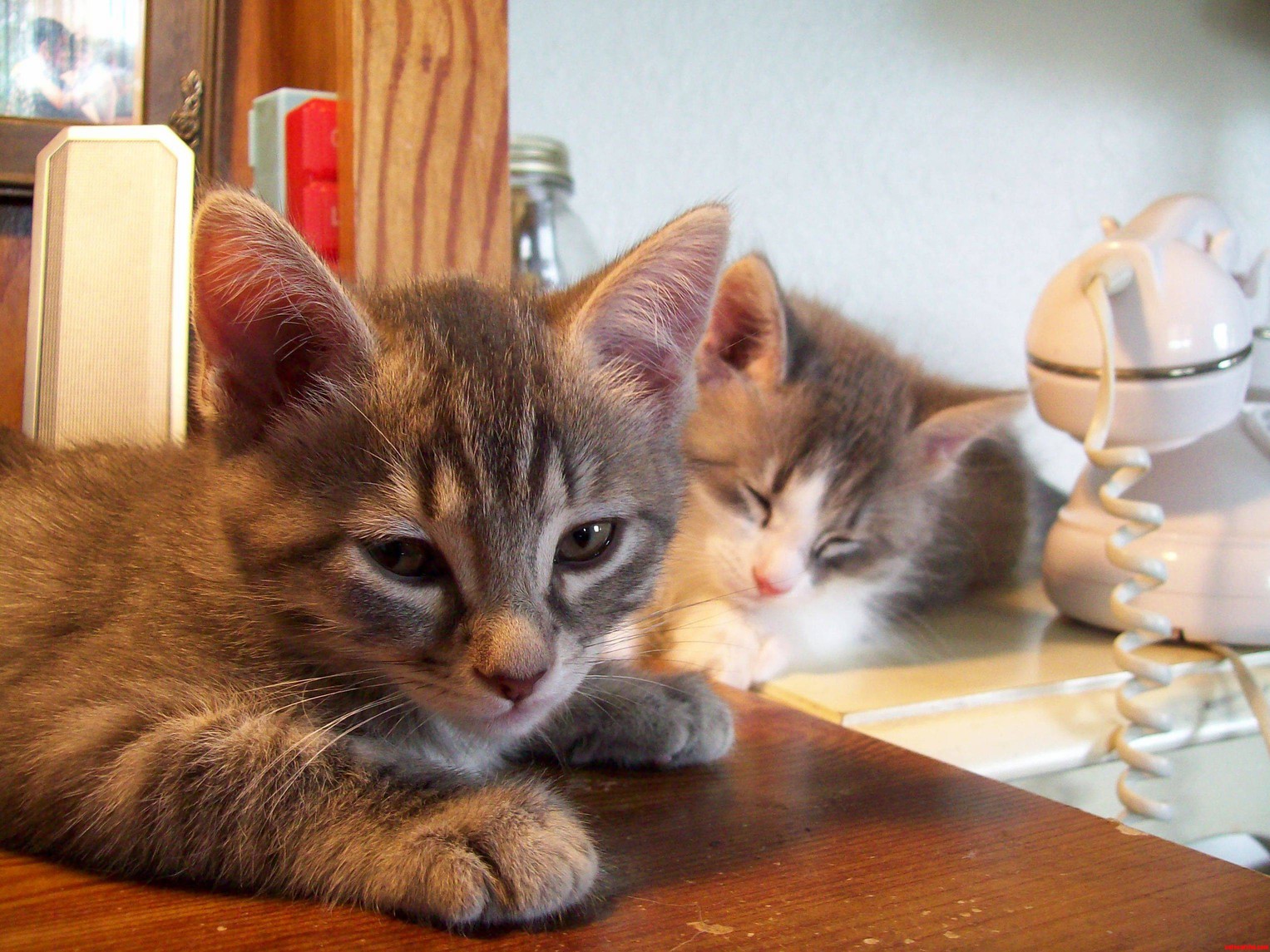 Baby Brothers.