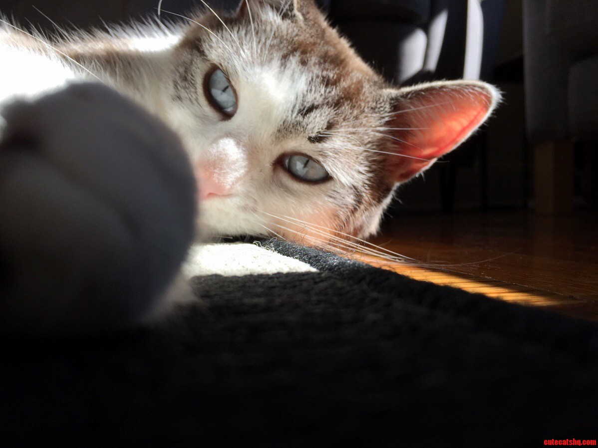 Big Blue Eyes