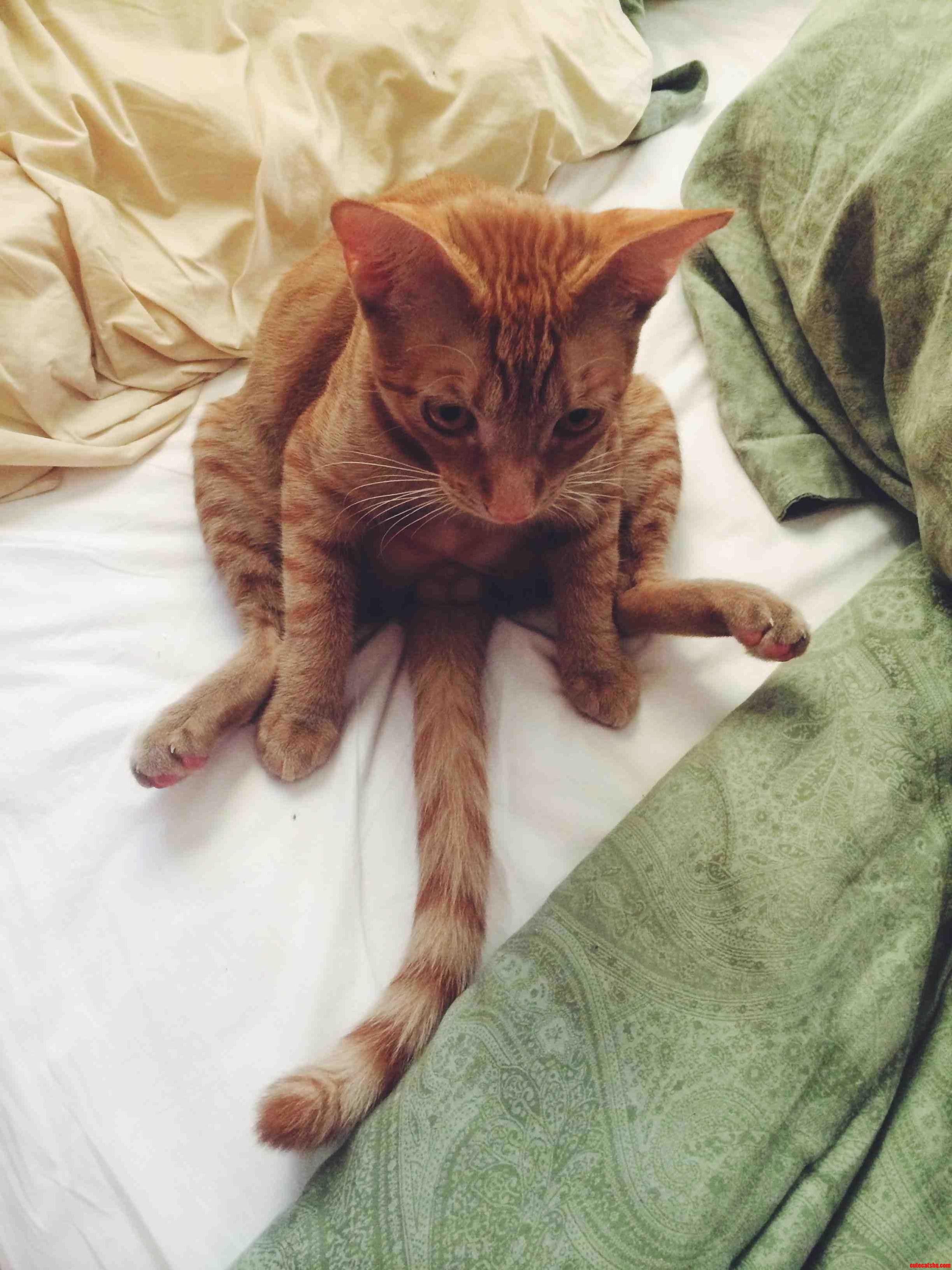 Caught Deep in Thought