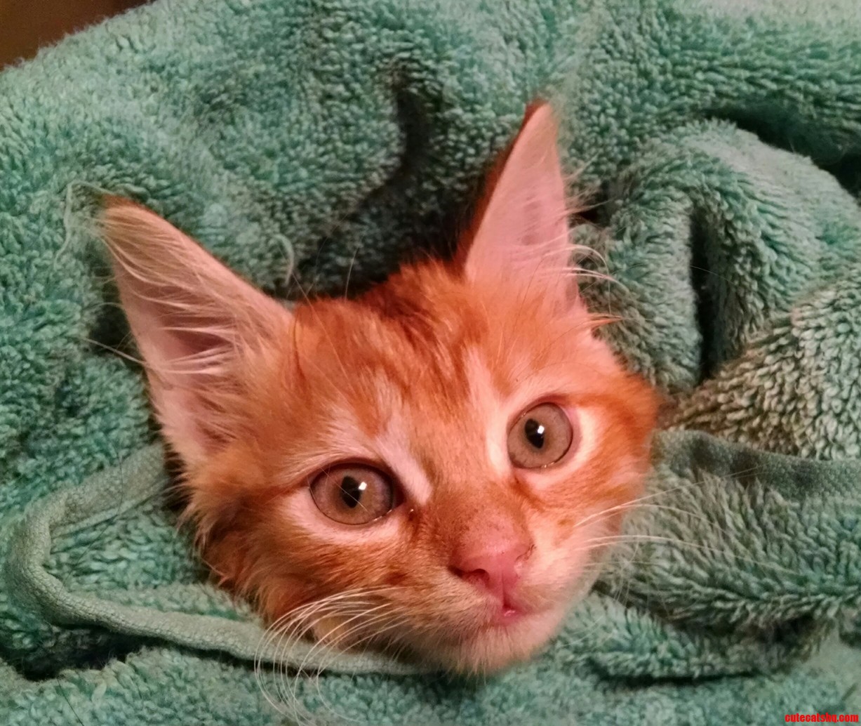 Cuddling with Fred After a Bath.