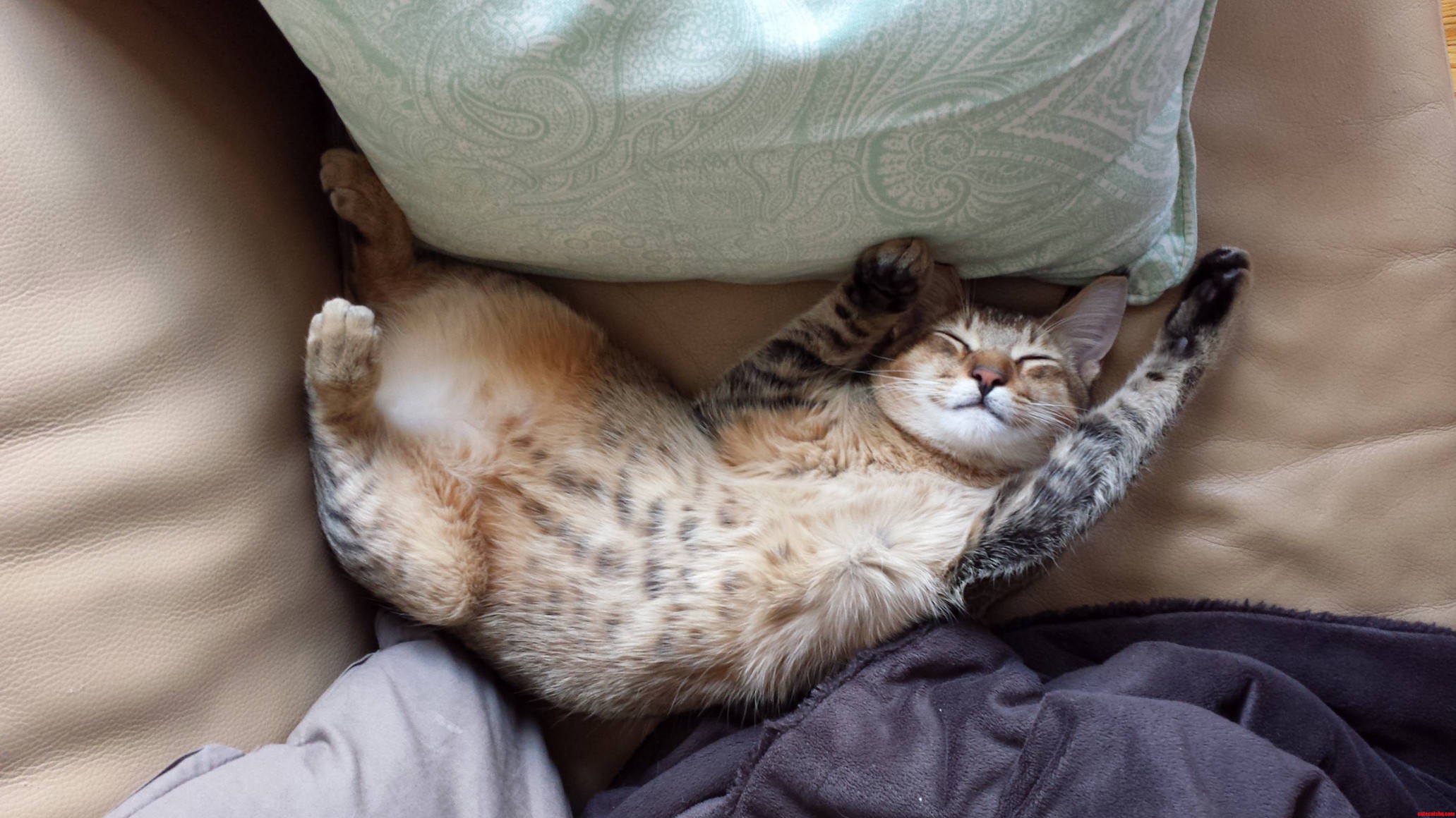 Dat Spotty Tummy My Smiley Boy 3