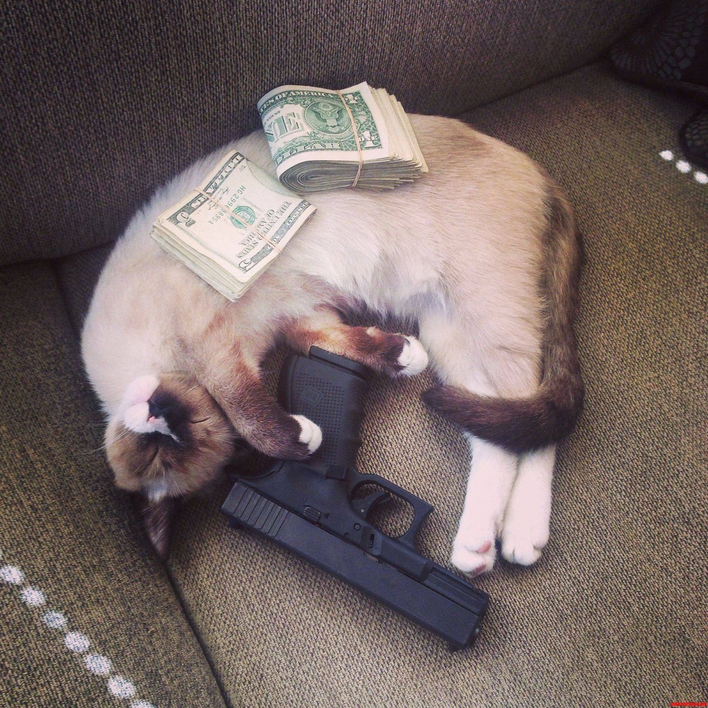 Dream Big Little Buddy