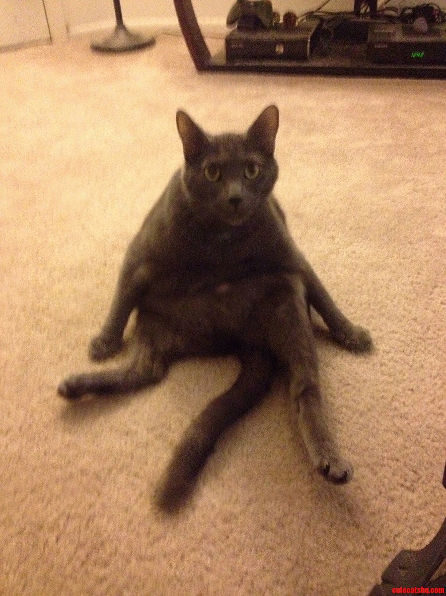 Felix Giving Me the Do You Mind Look.