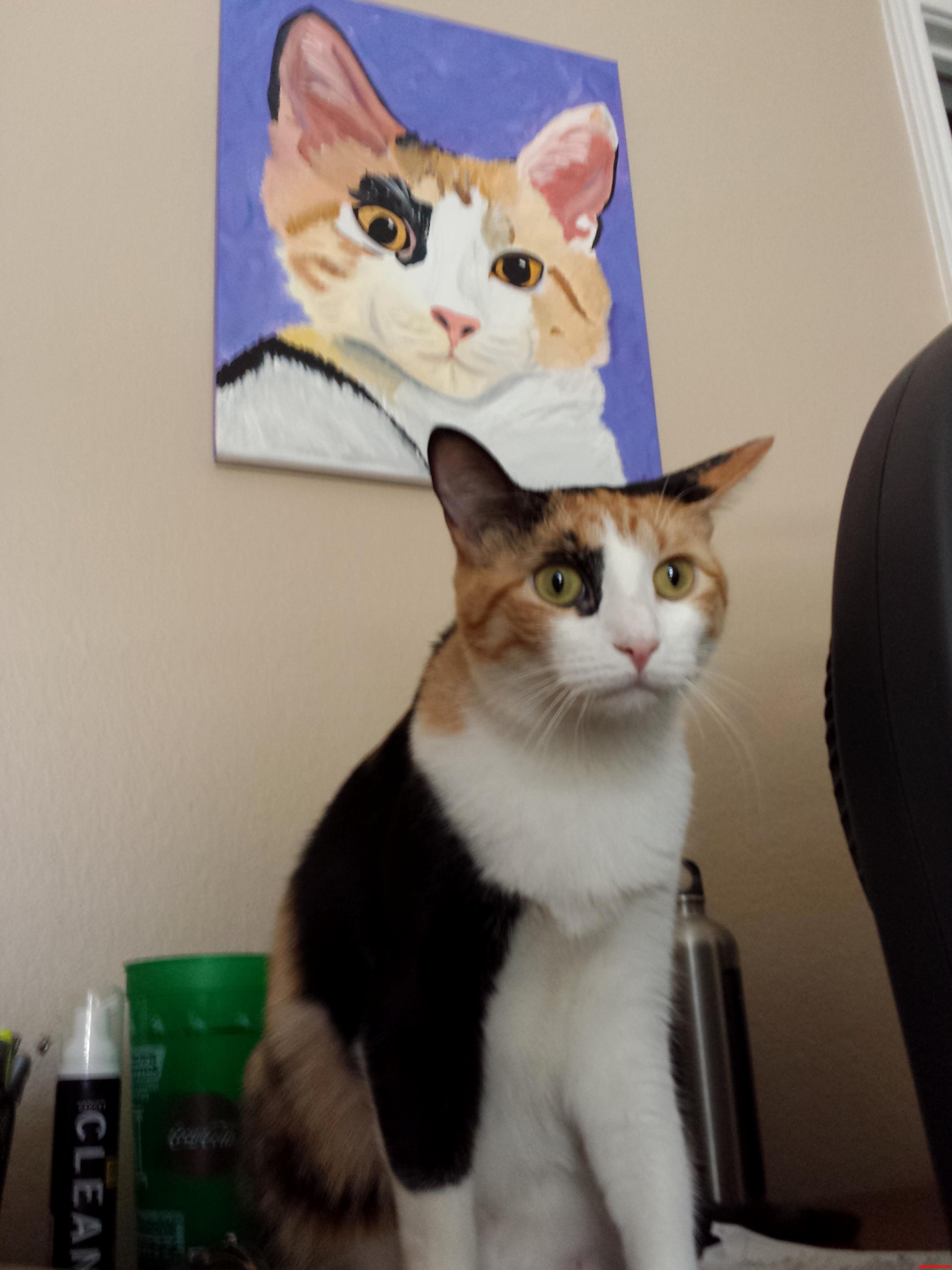 Girlfriend Painted a Picture of Jane When She Was a Kitten. Jane Is Not Amused.