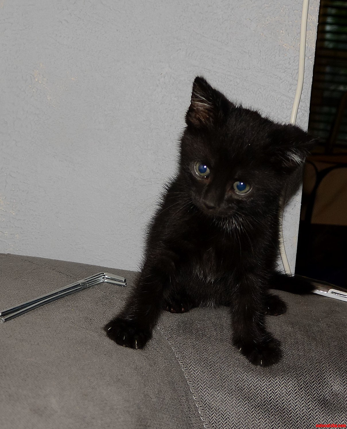He Actually Sat Still for a Second