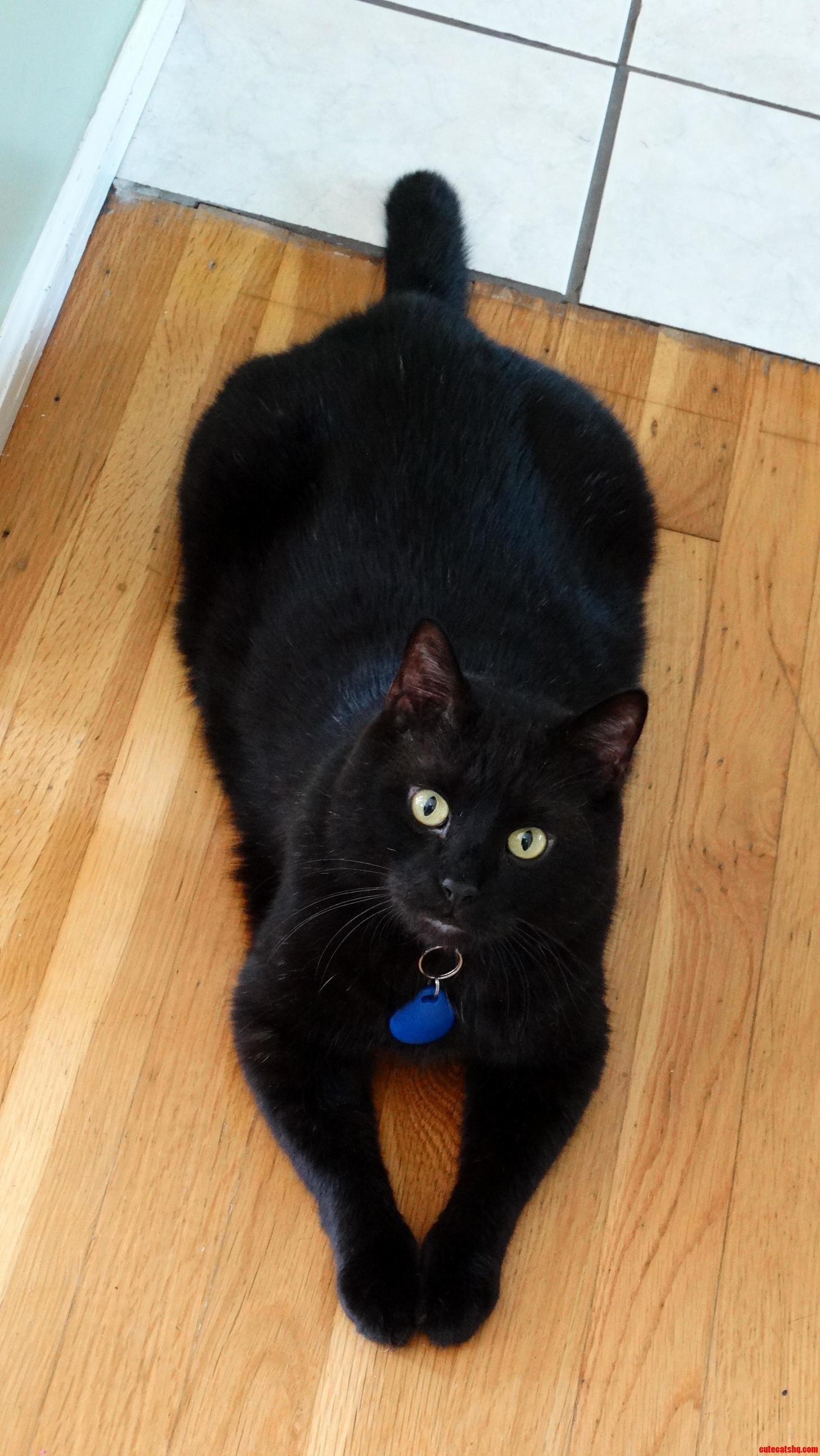 He Spazzed Out Two Seconds After I Took This Picture.