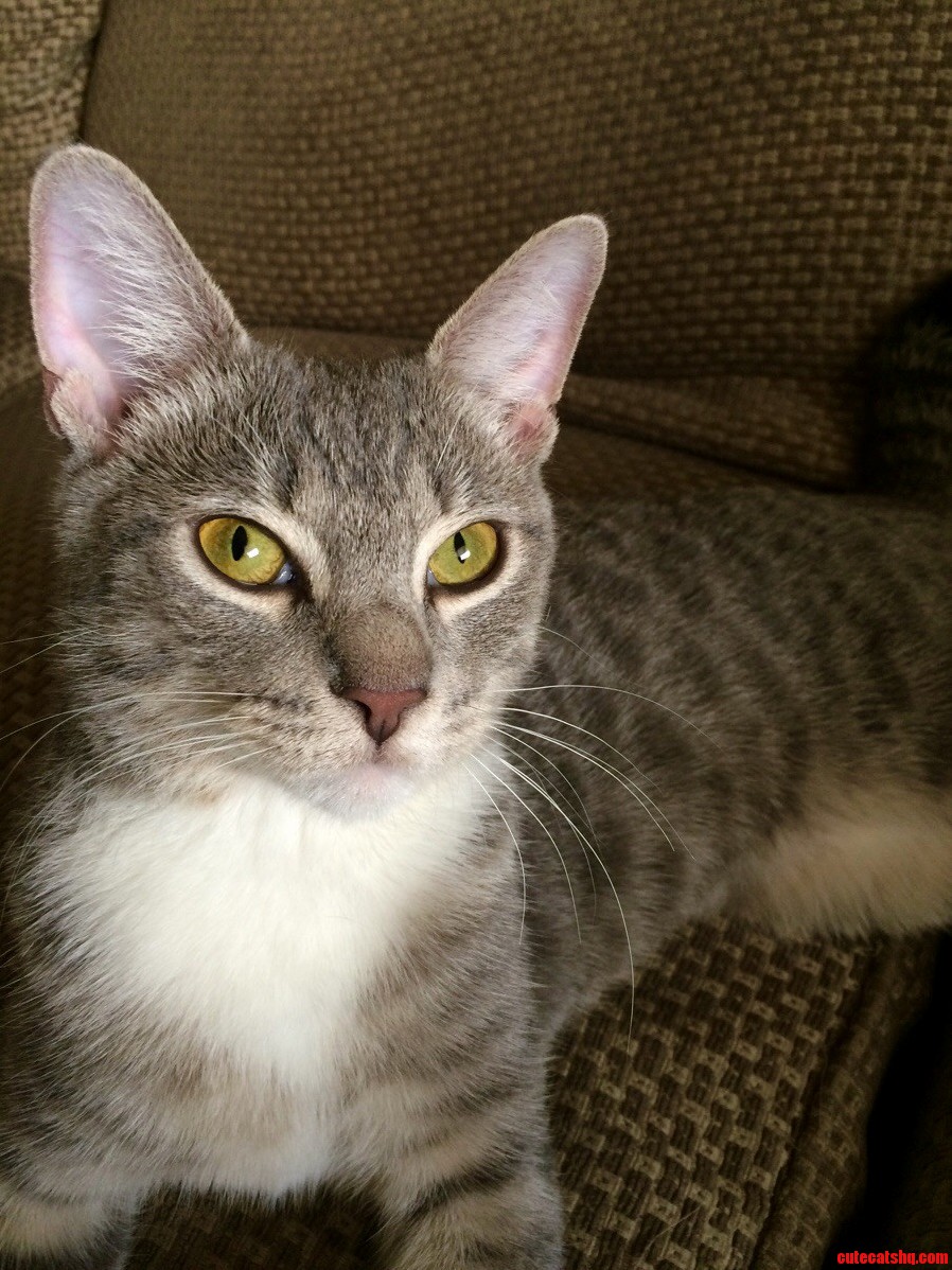 Her Eyes. Hashtag No Filter.