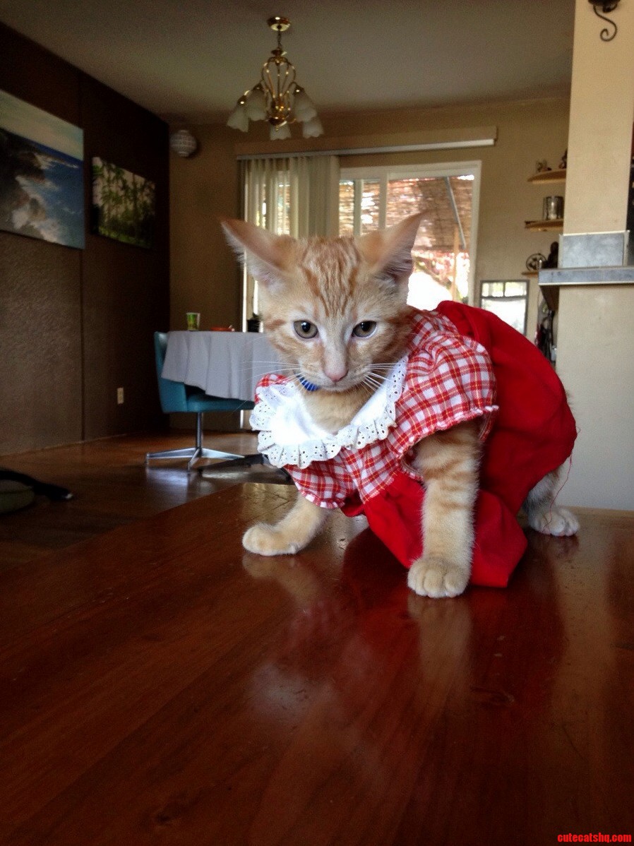 Hes Not Impressed.
