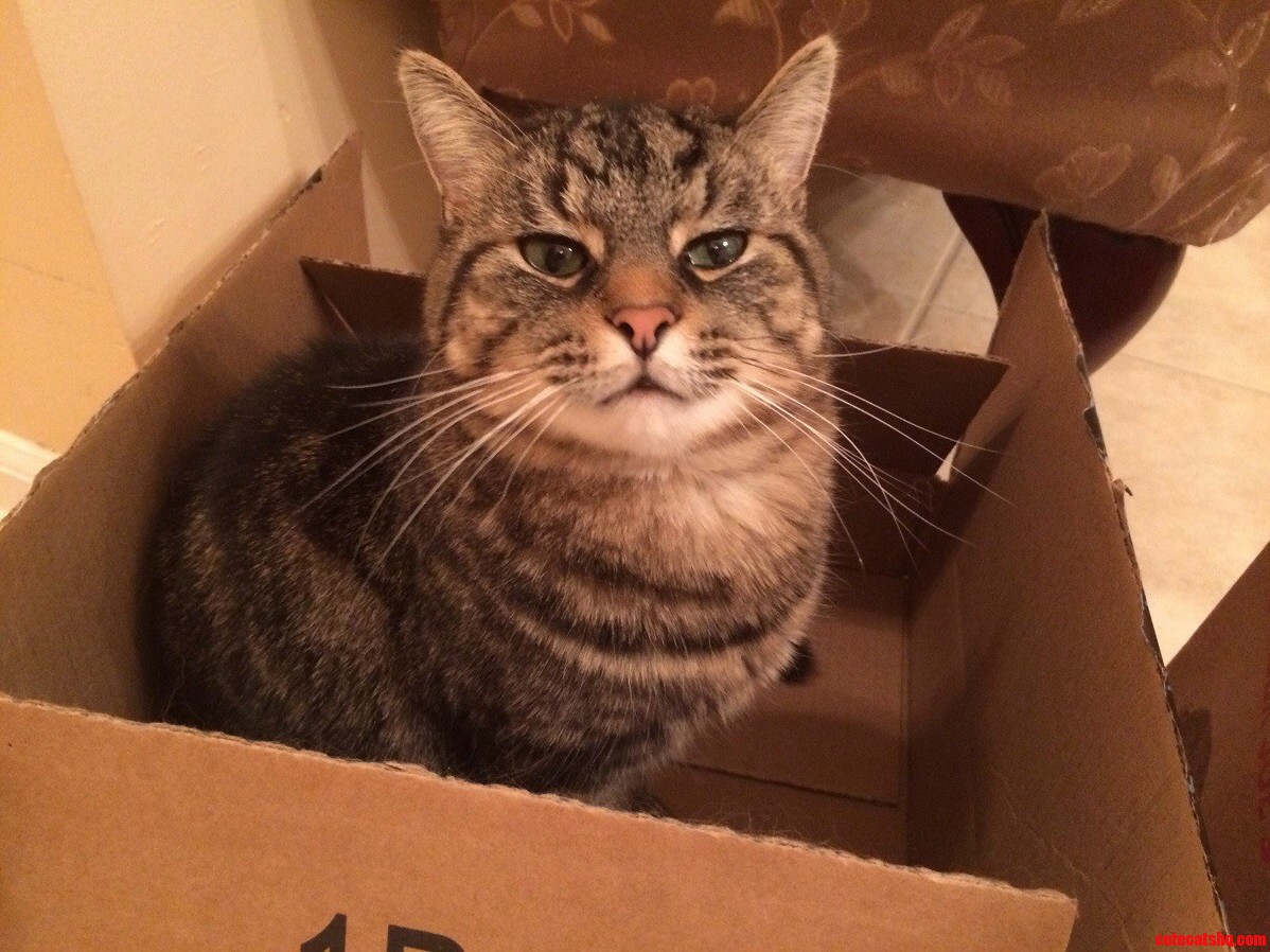 Hes Smug He Has His Own Box