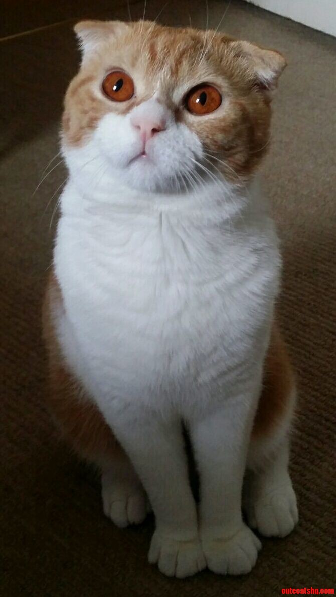 Hi Im Maruai...