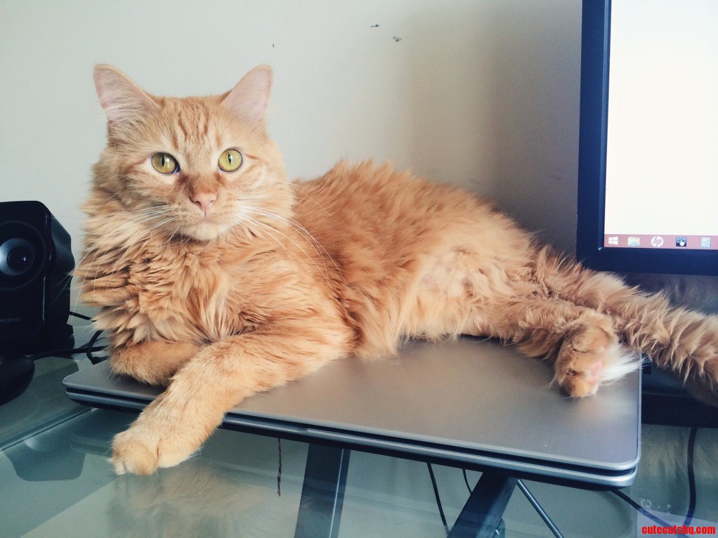 His New Favorite Spot