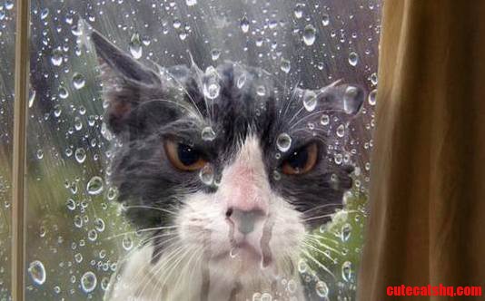I Dont Like Rain