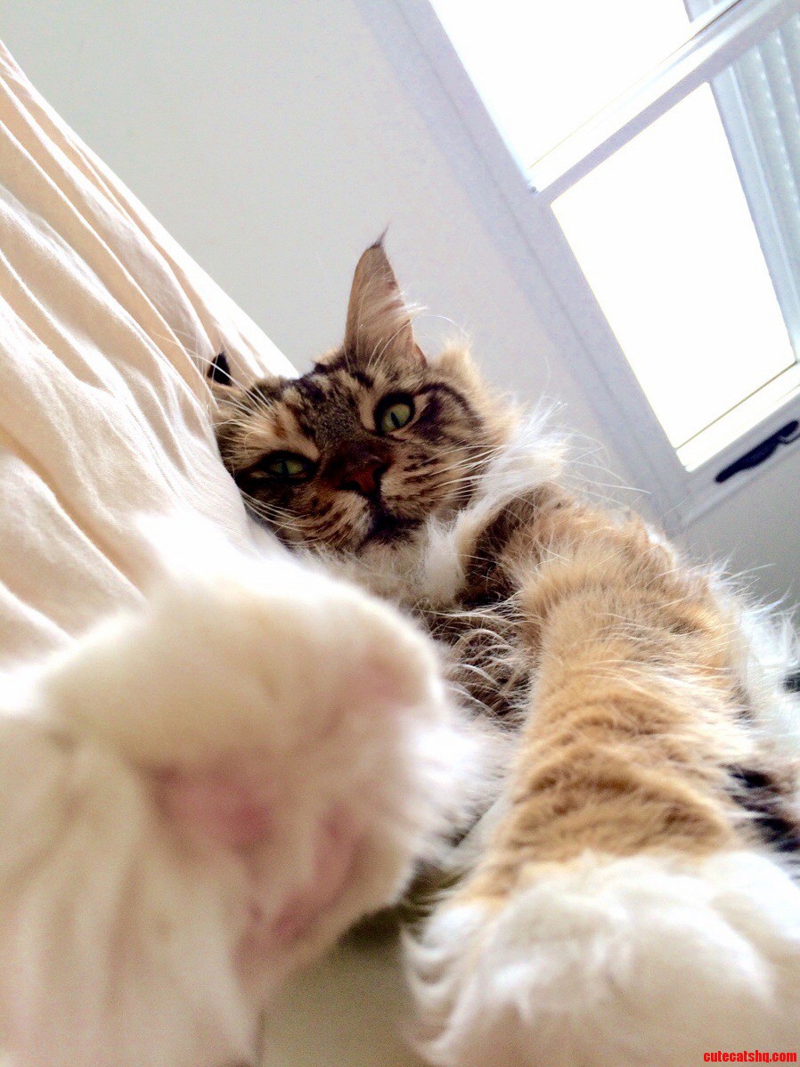 I Got Fired Recently. She Stays with Me All Day Wherever I Go at Home.
