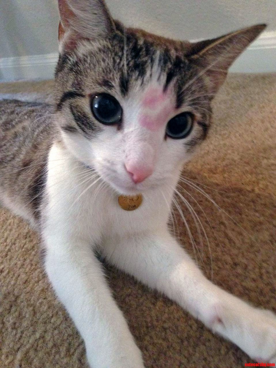 I Kiss Zoe Every Day When I Get Home. Today I Forgot I Had Lipstick On.