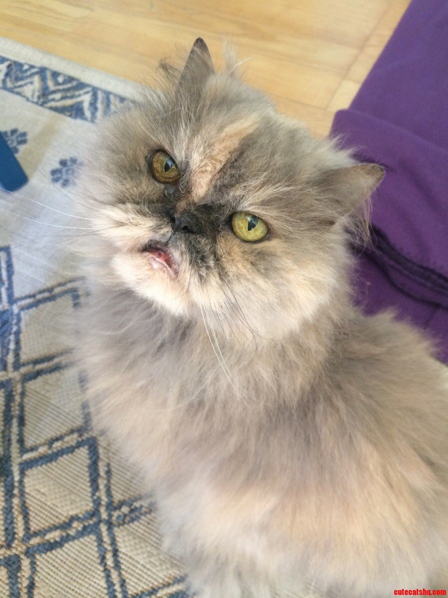 I Miss Her So Much