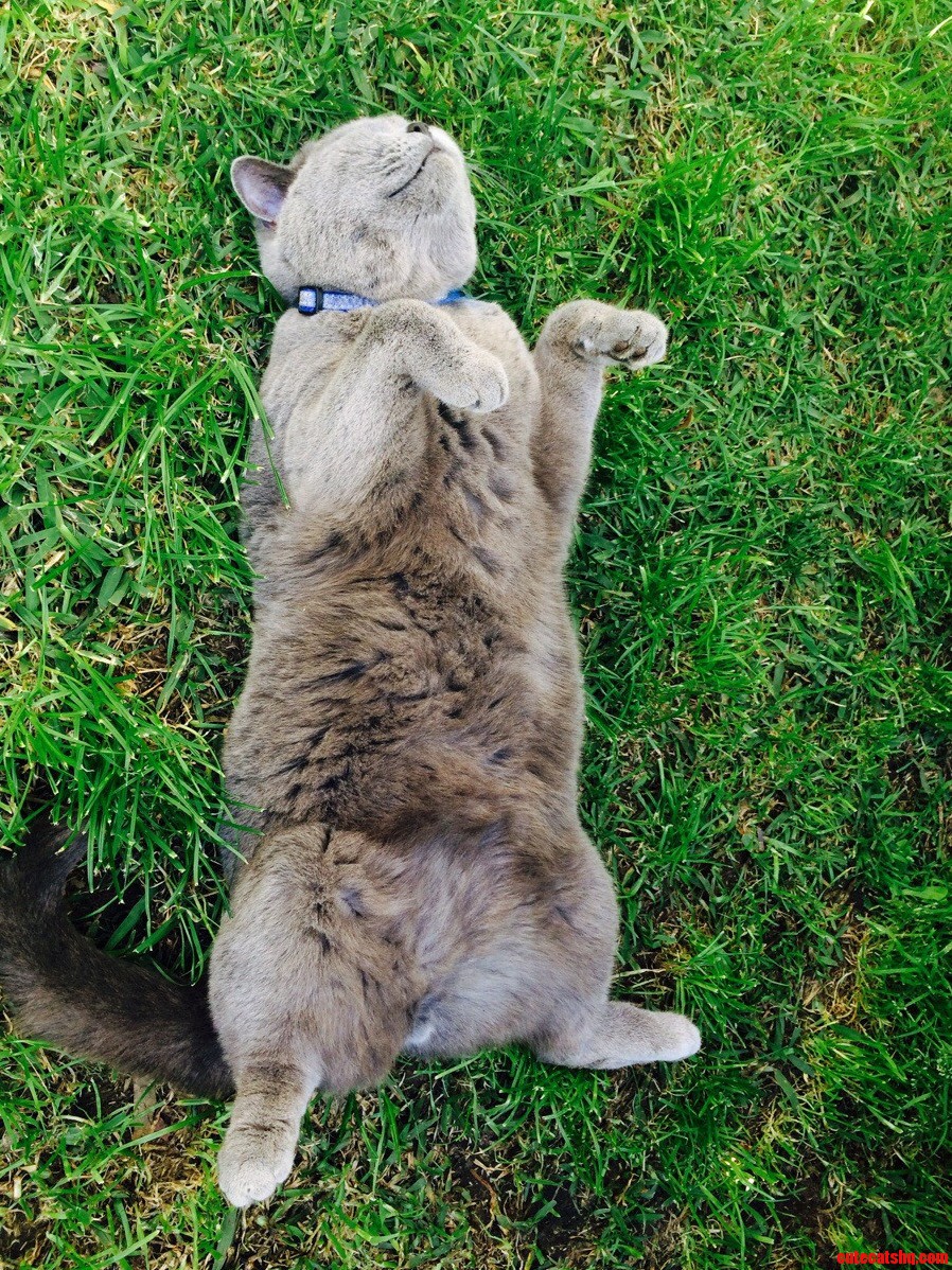 I Think Hes Enjoying This Spring Weather