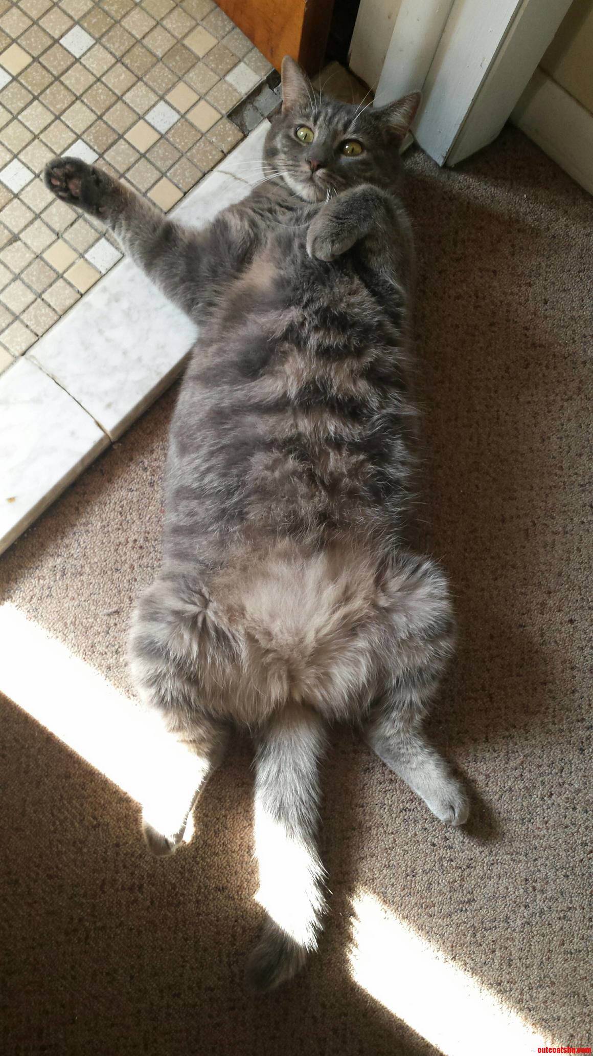 I Think Shes Comfy.