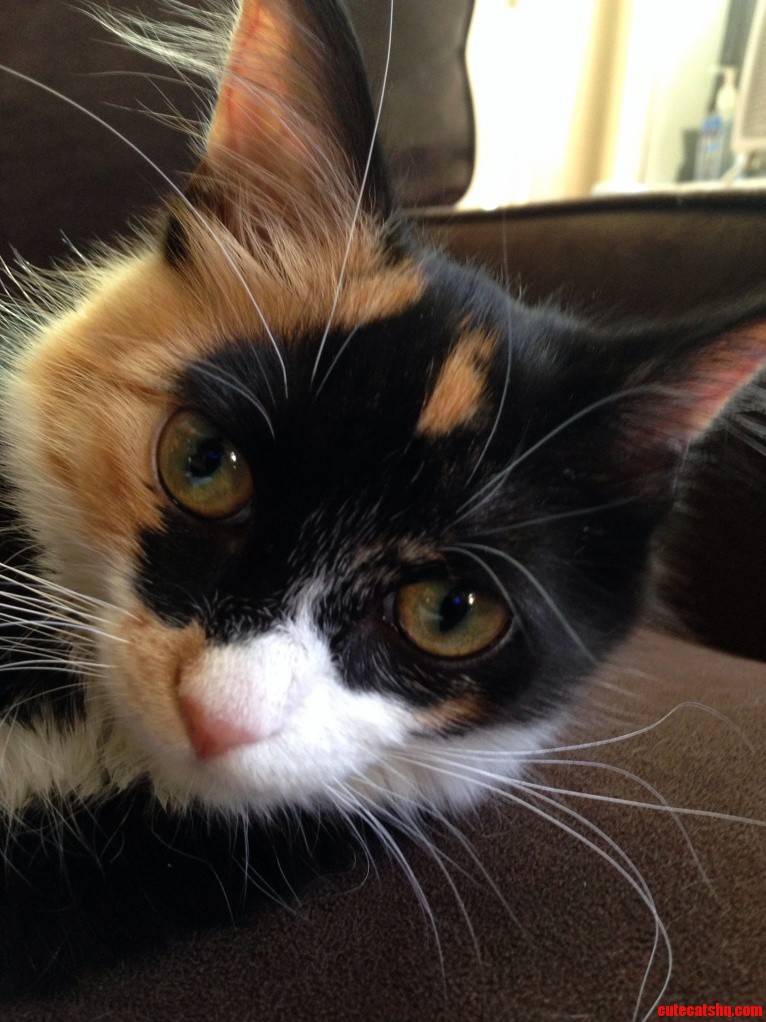 I Want to Eat Her Little Face