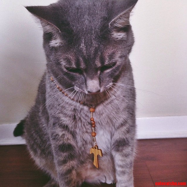 I Want You to Meet Odin Hes a Rap God.