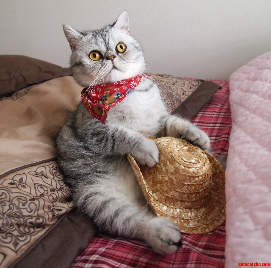 I Went to the Bedroom and He Was Just Sitting Like This... After I Posed Him Like It.