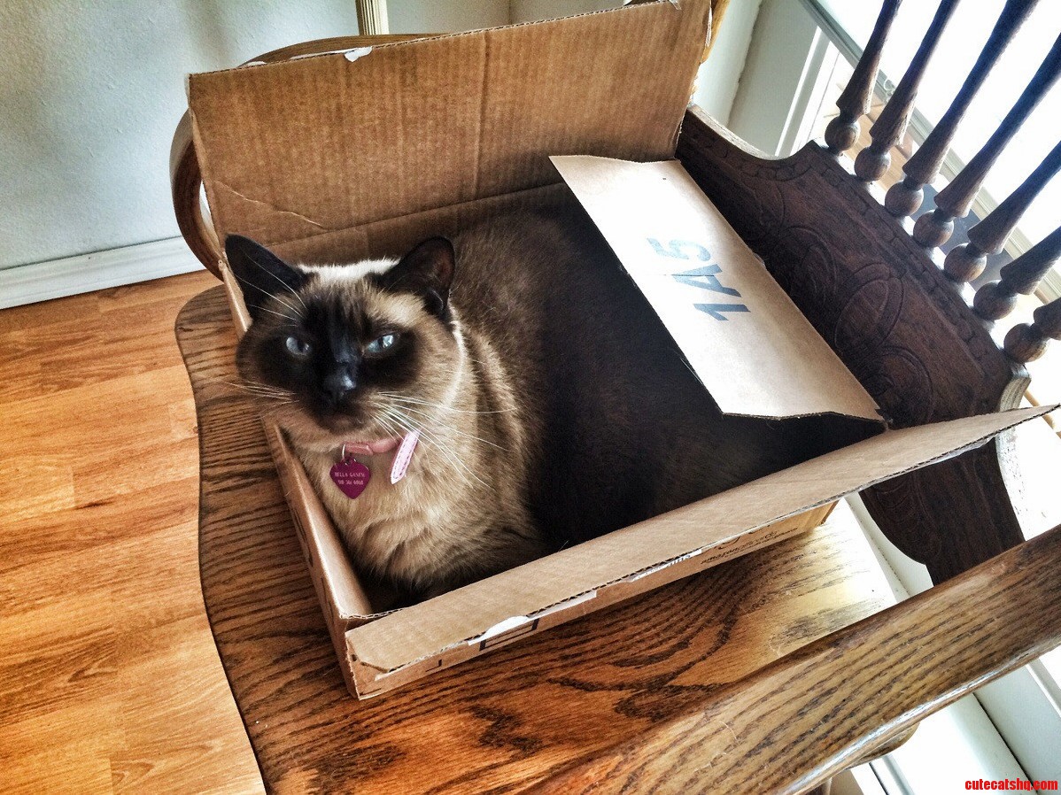 If I Fits I Sits...