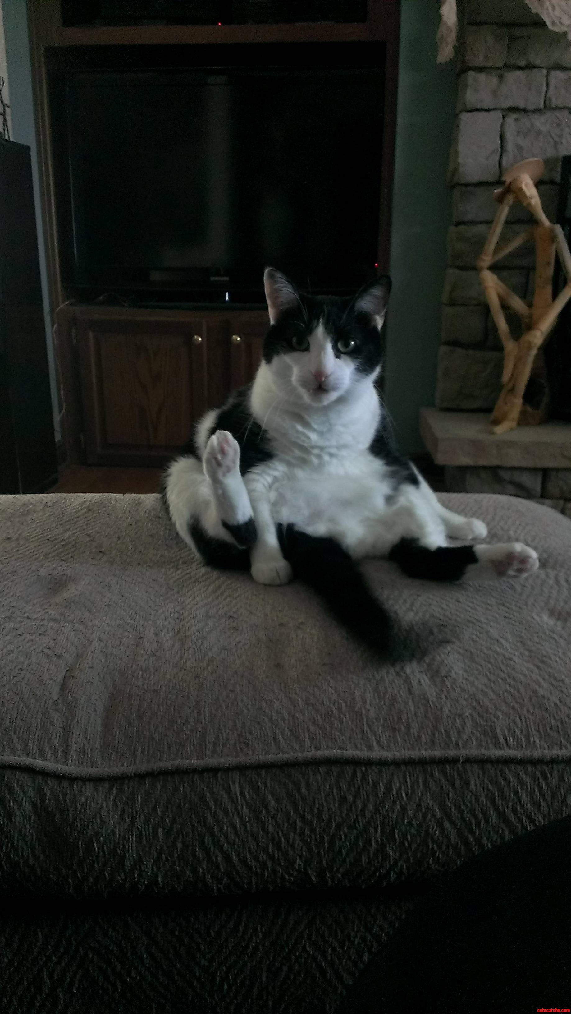 Is This How I Human