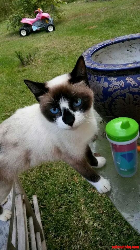 Jade Was Watching Me Today