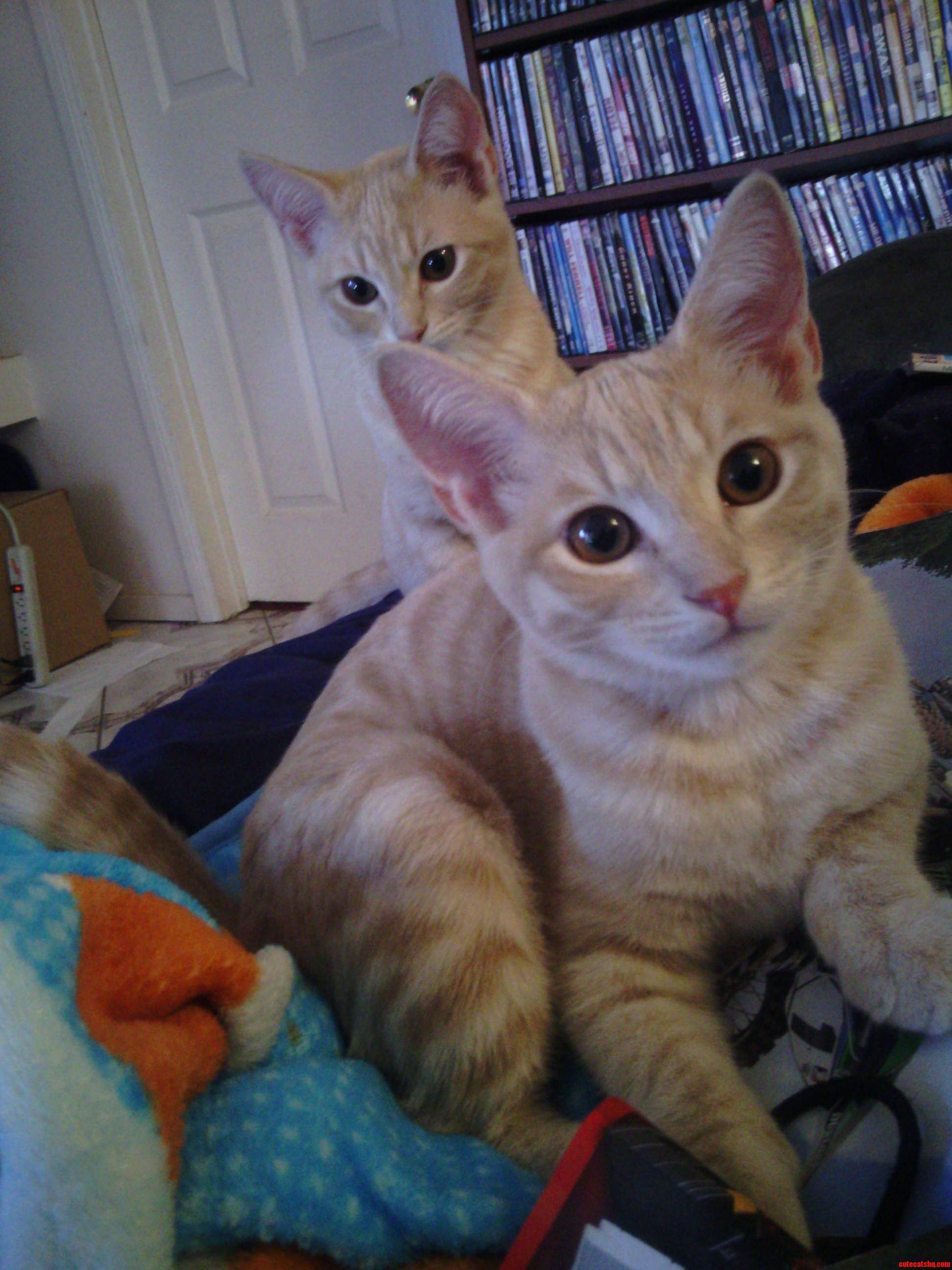 Just Two Cuties