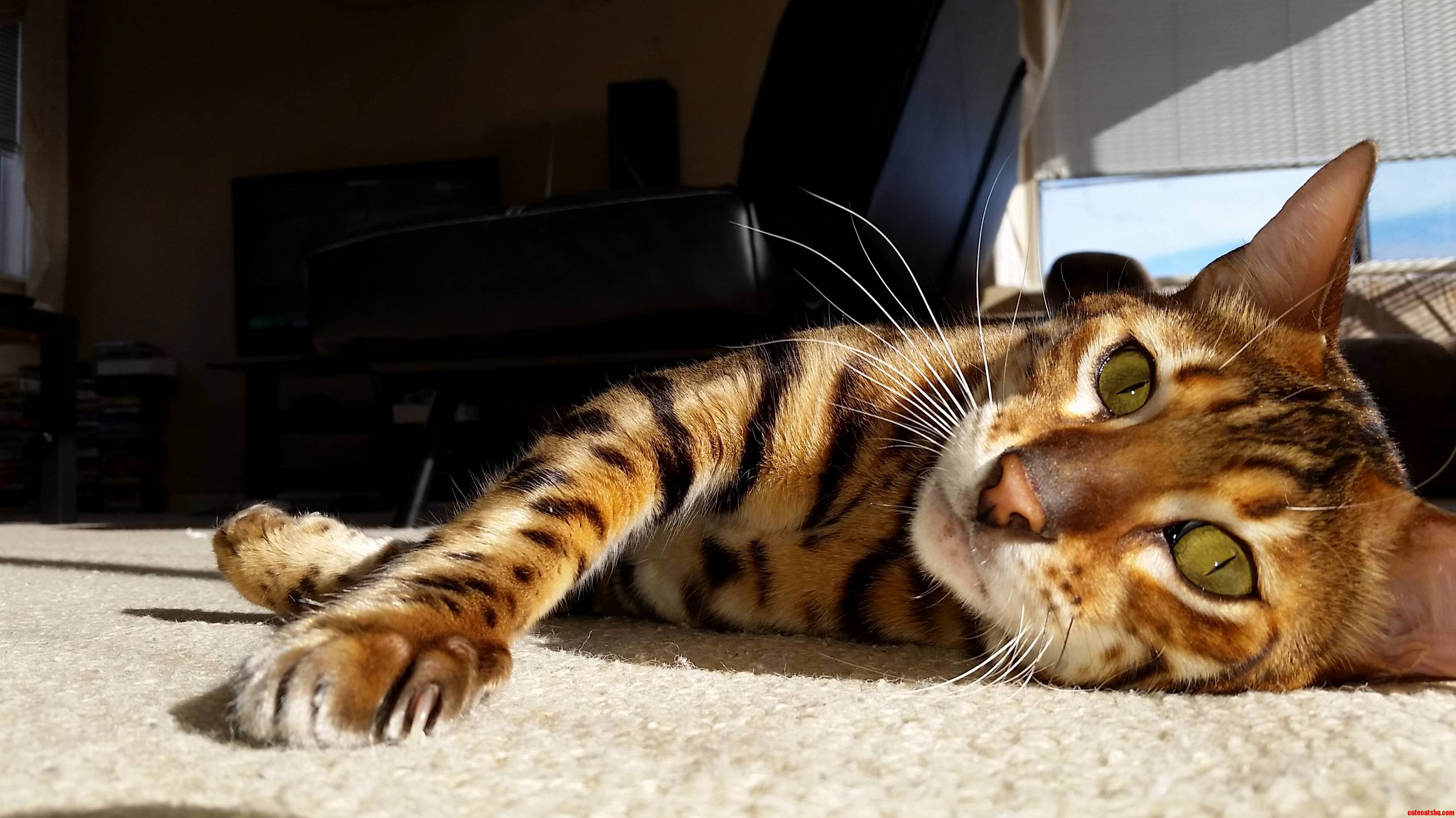 Lazy Sunday.