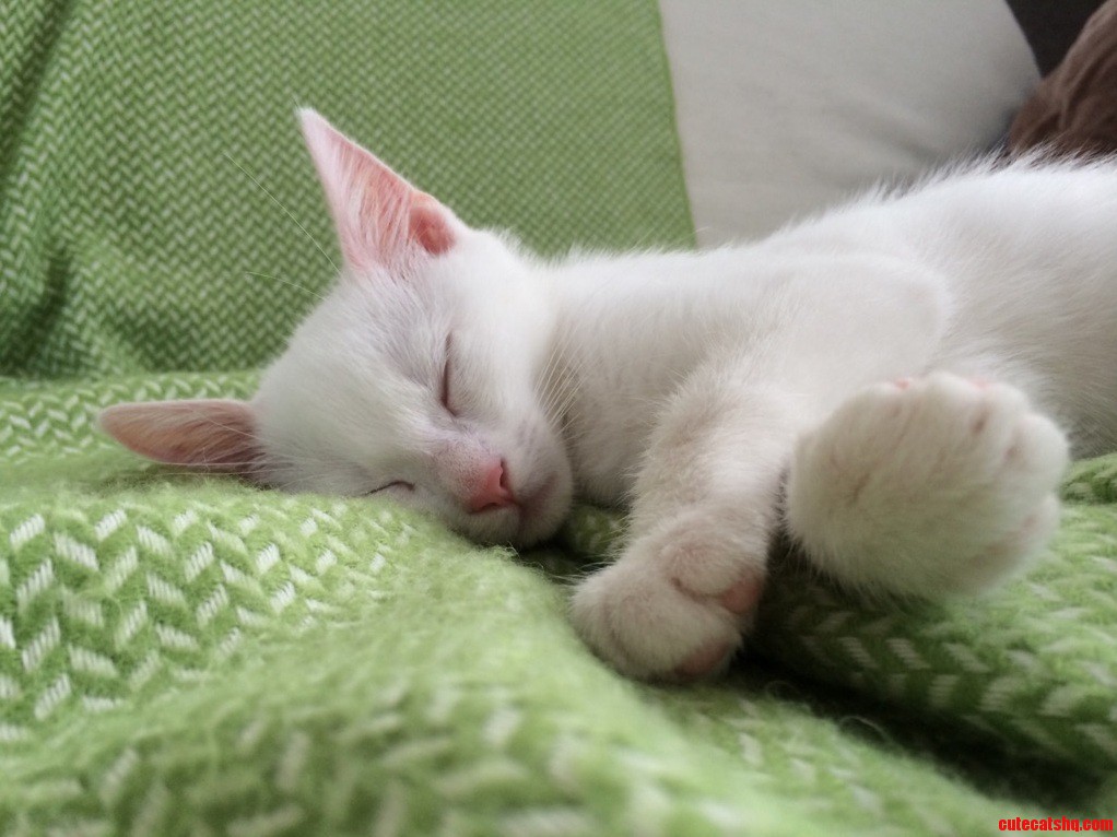 Little Prince George Sleeping
