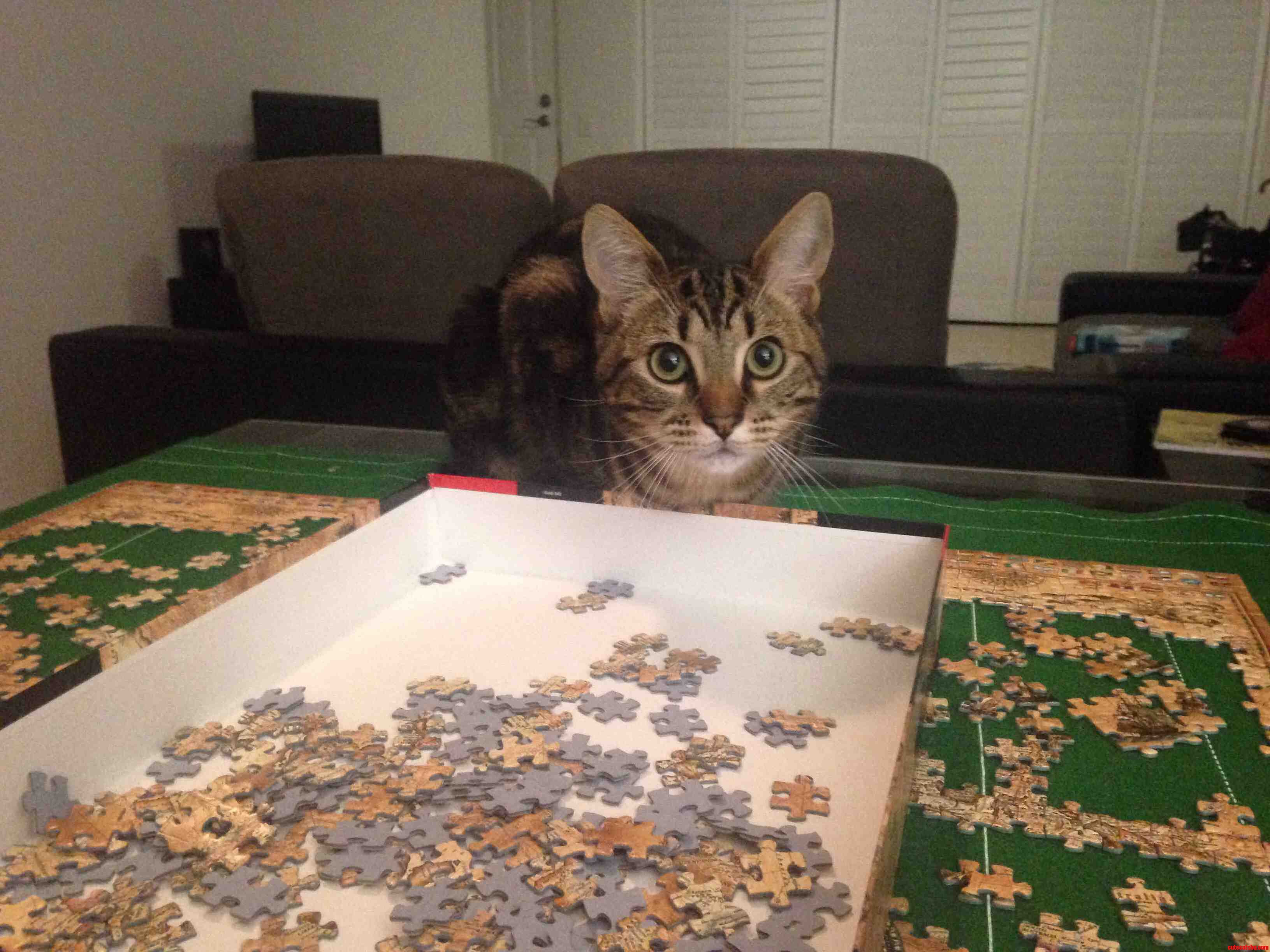 Look Guys I Am Helping