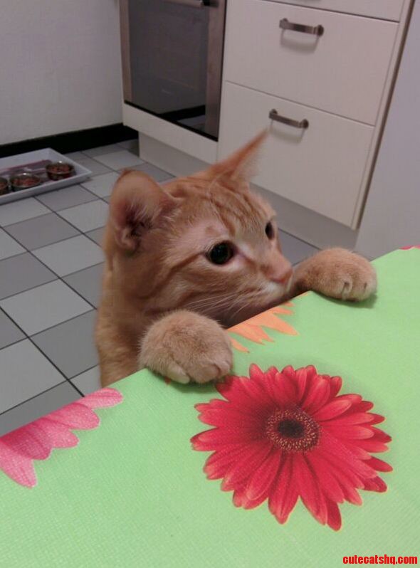 Maurice Thinks Sharing Is Caring