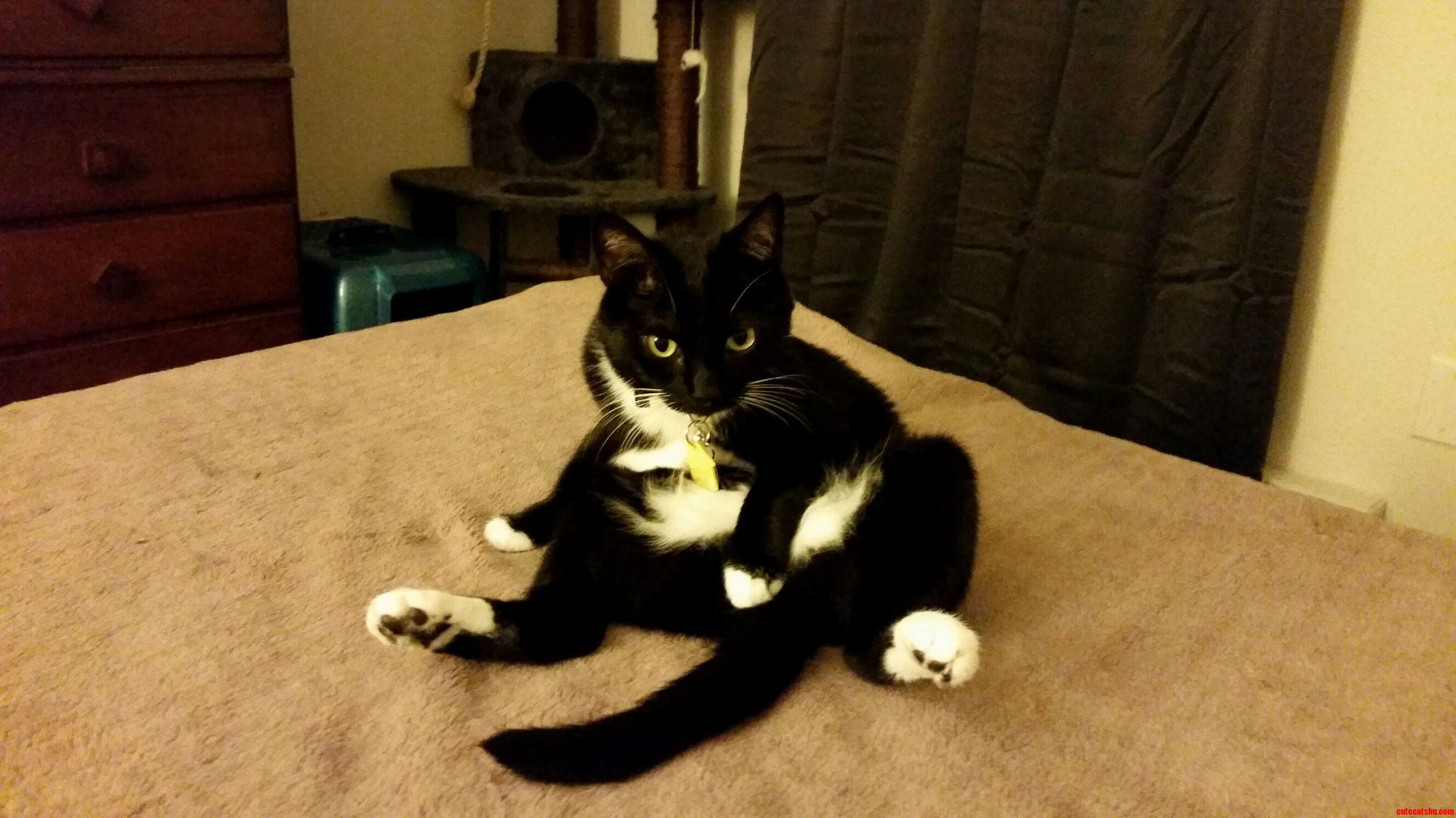 Meet Oreo. I Think Were Comfortable with One Another Now.