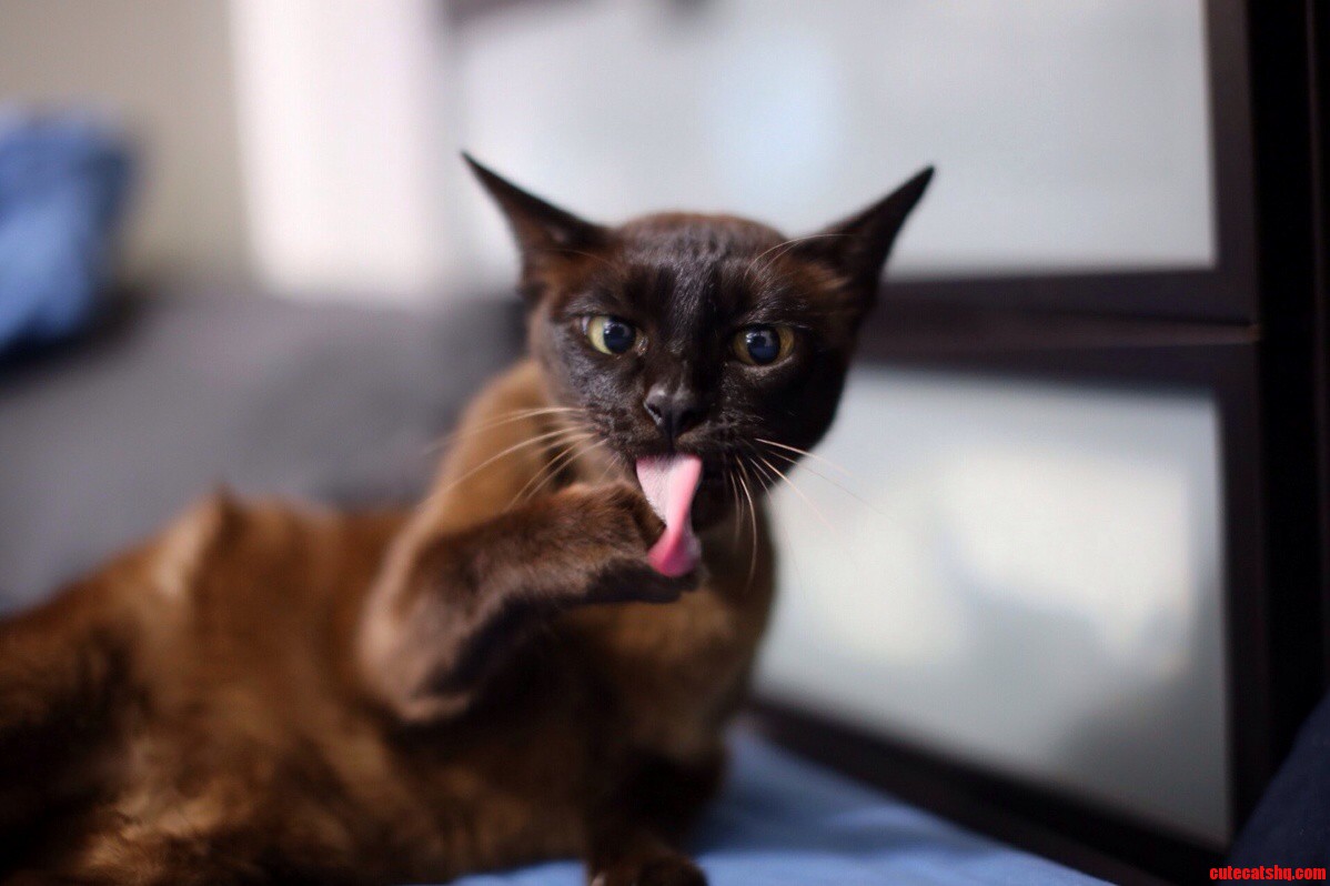 Mia Has a Crazy Long Tongue