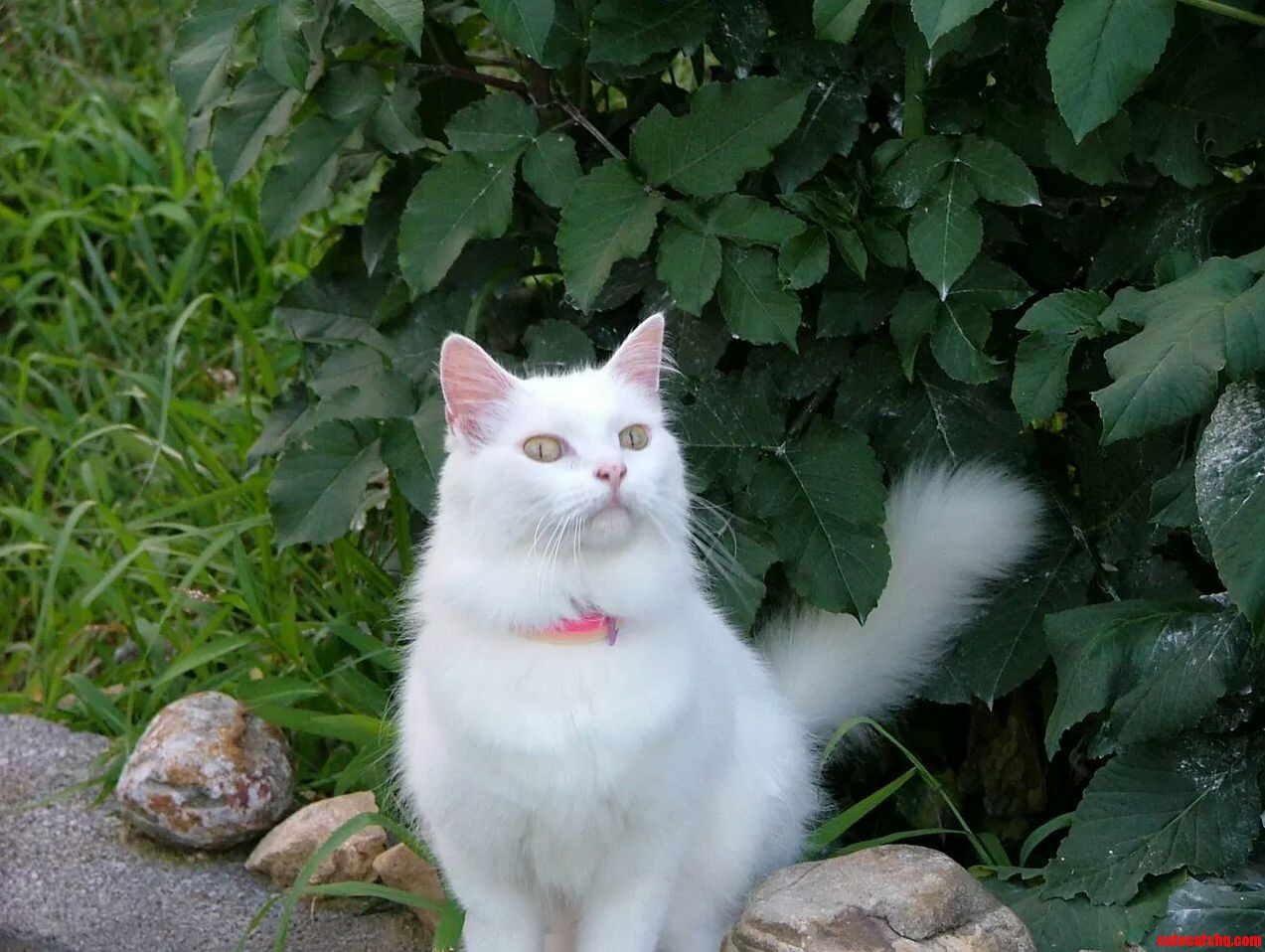 Miss My Sweet Daisy. You Made It to 22.