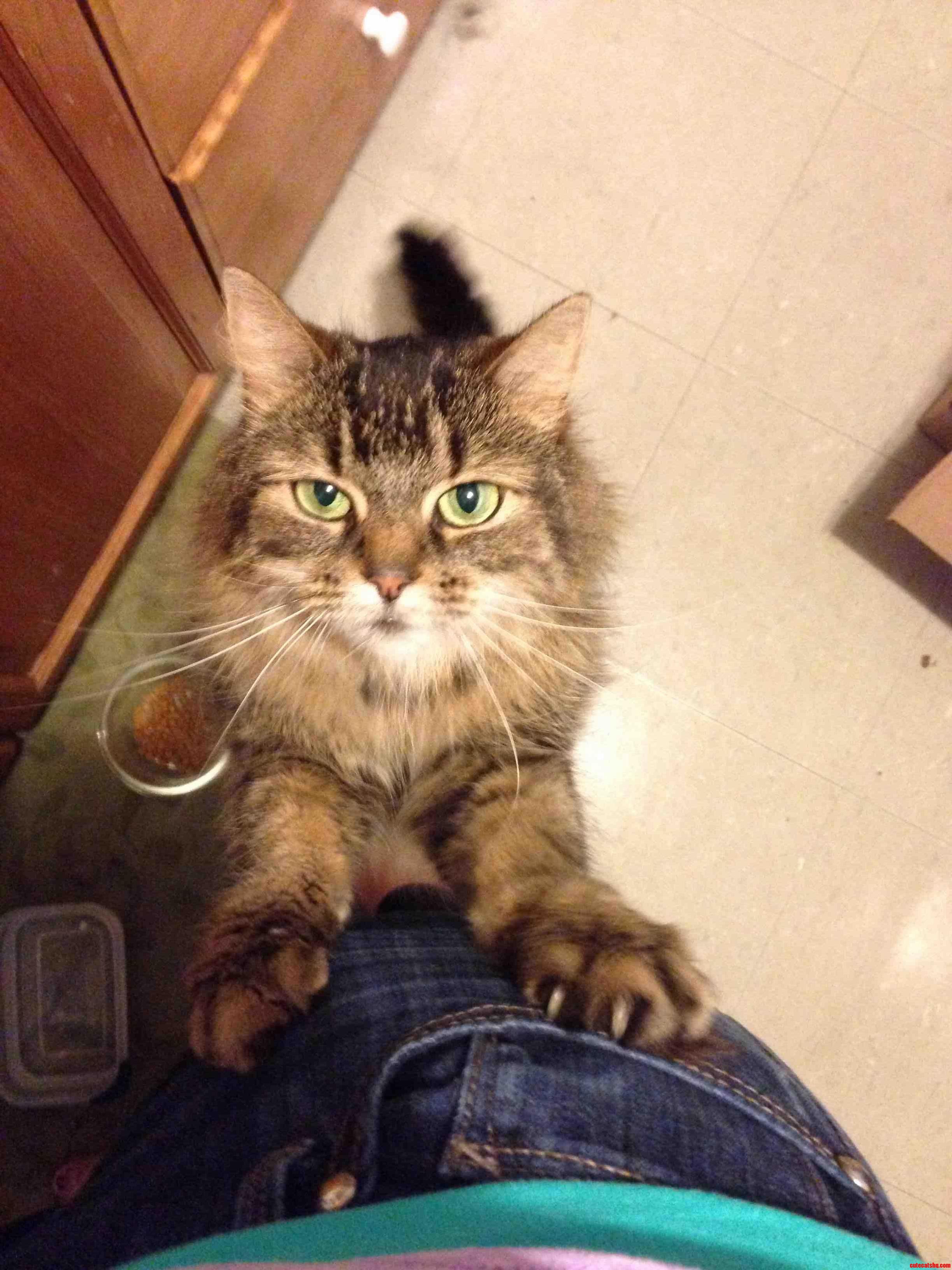 Moooooooooooooooooom. Hai.