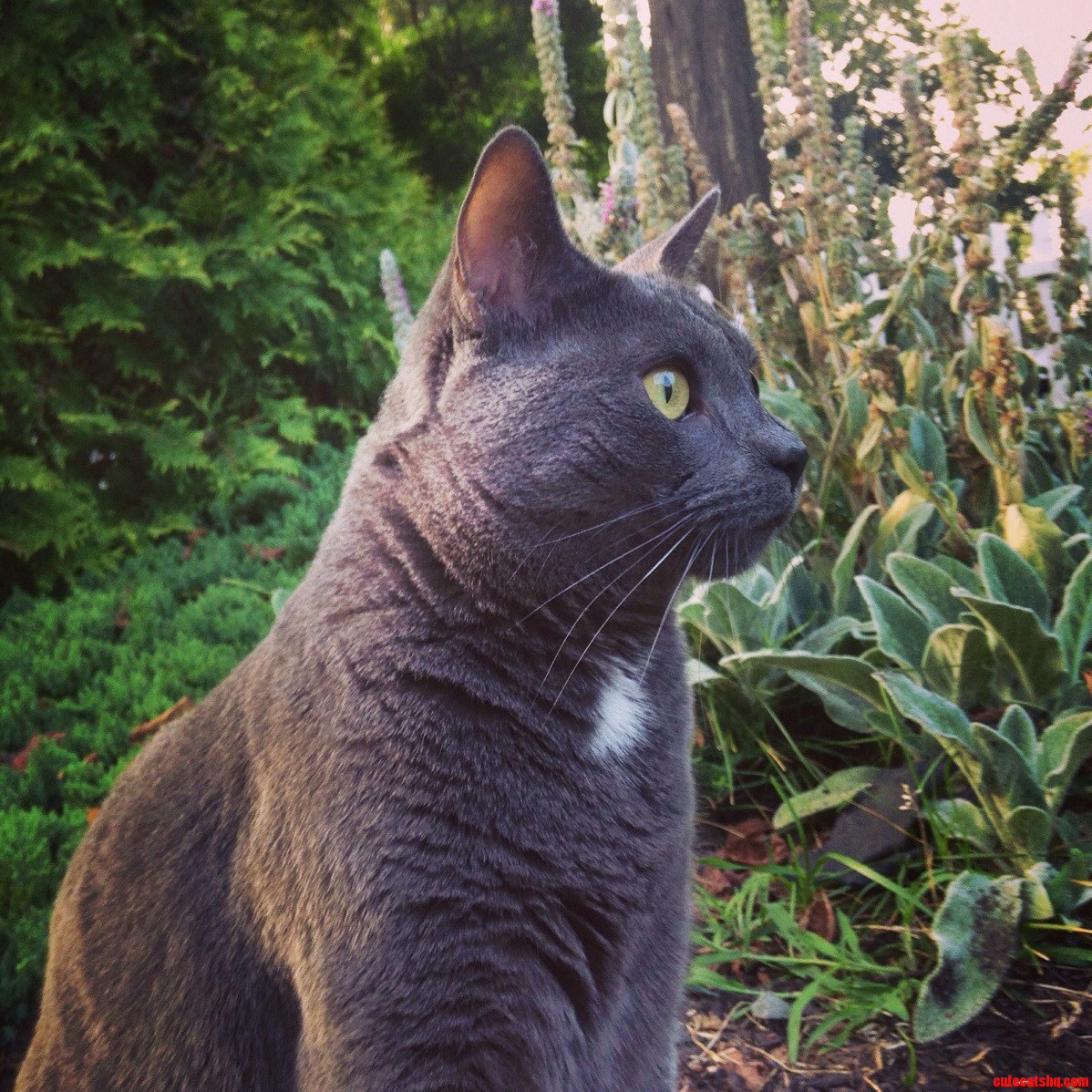Moving Away from Home for the First Time. Im Going to Miss This Sweet Guy.