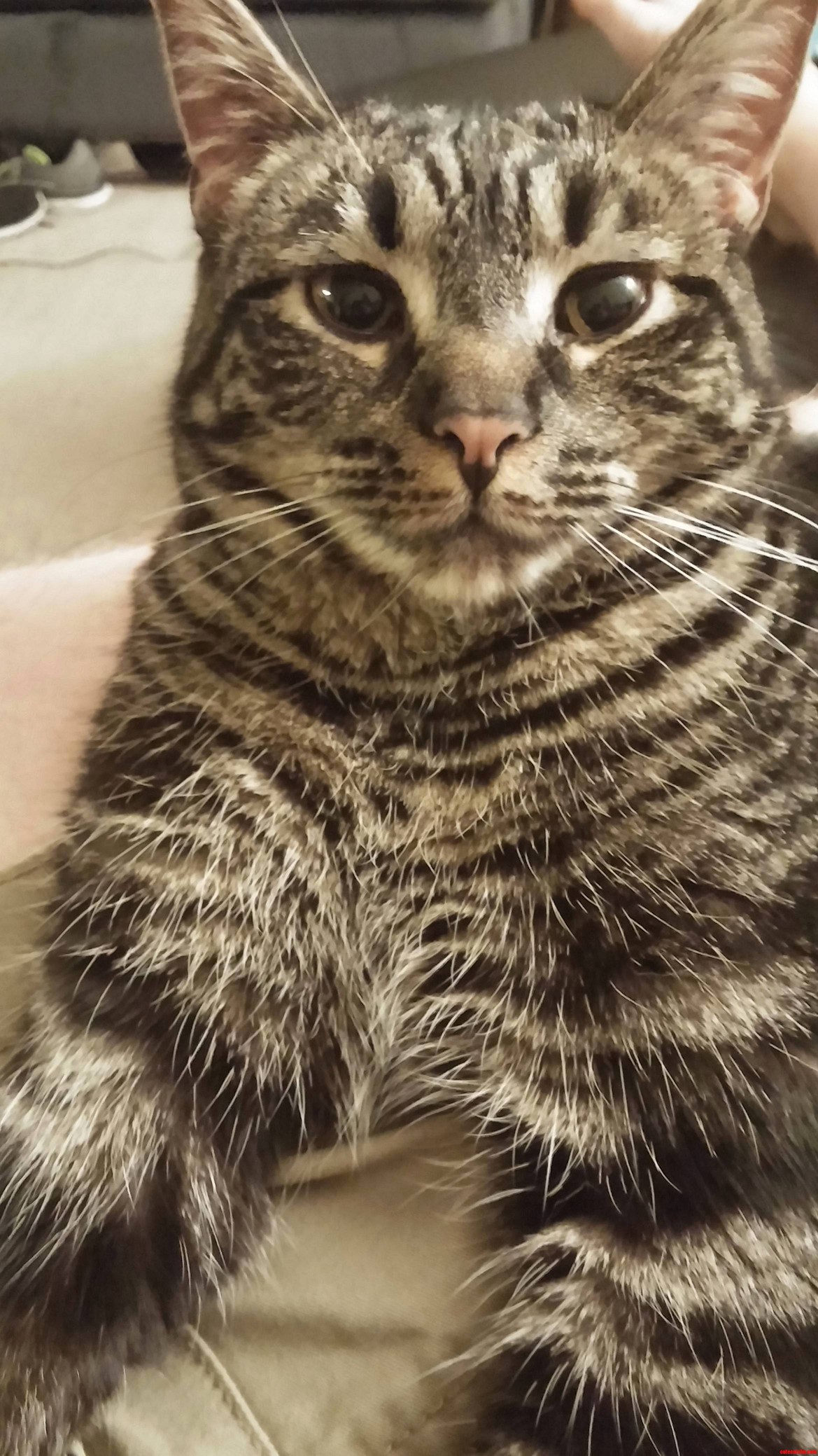 Ms Jynx Doesnt Pose Very Often