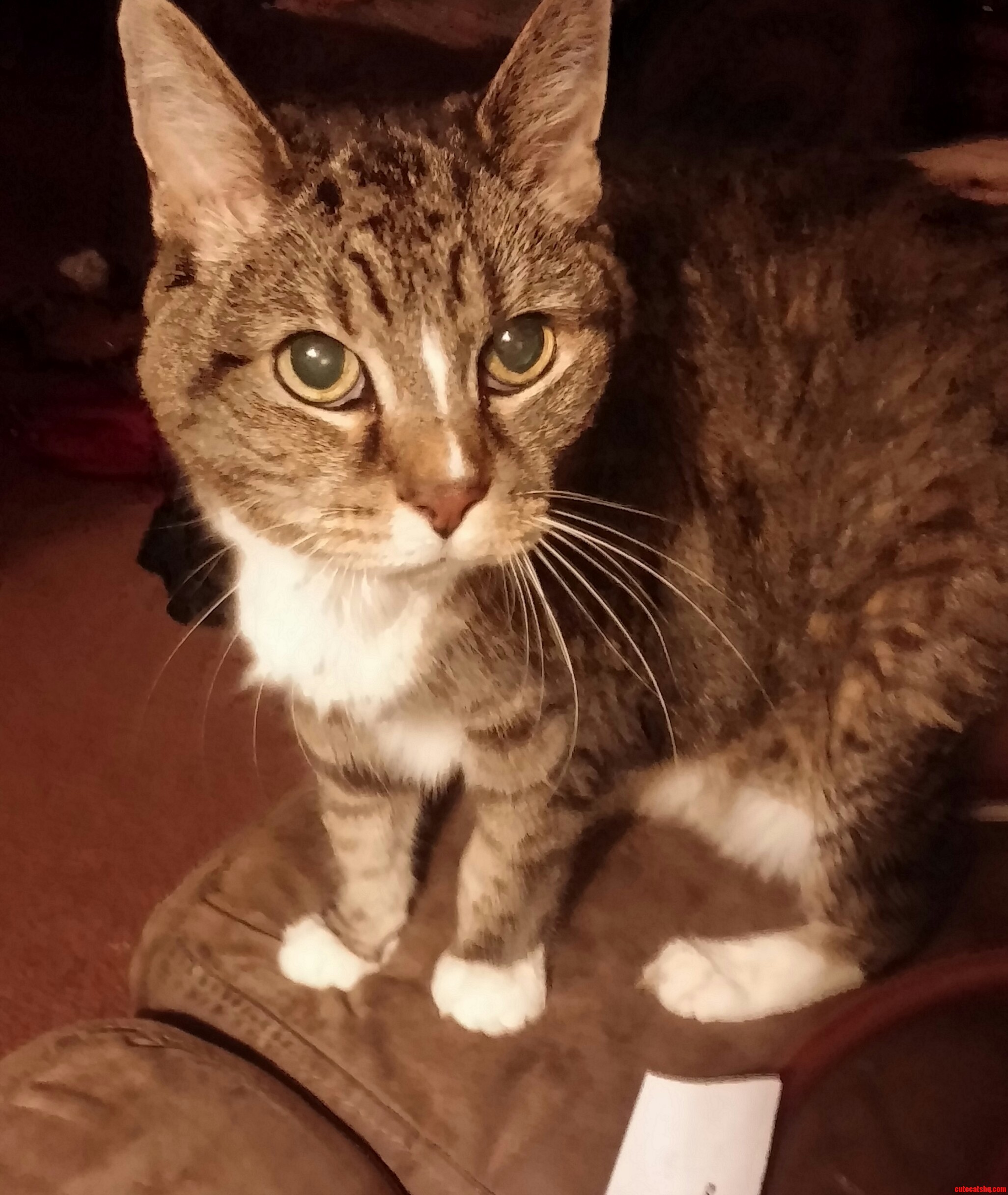 My 19 Year Old Wanting Some Affection