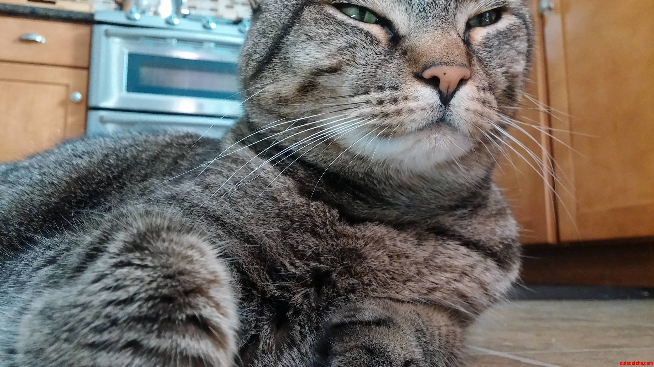 My Baby Is Looking So Intense.
