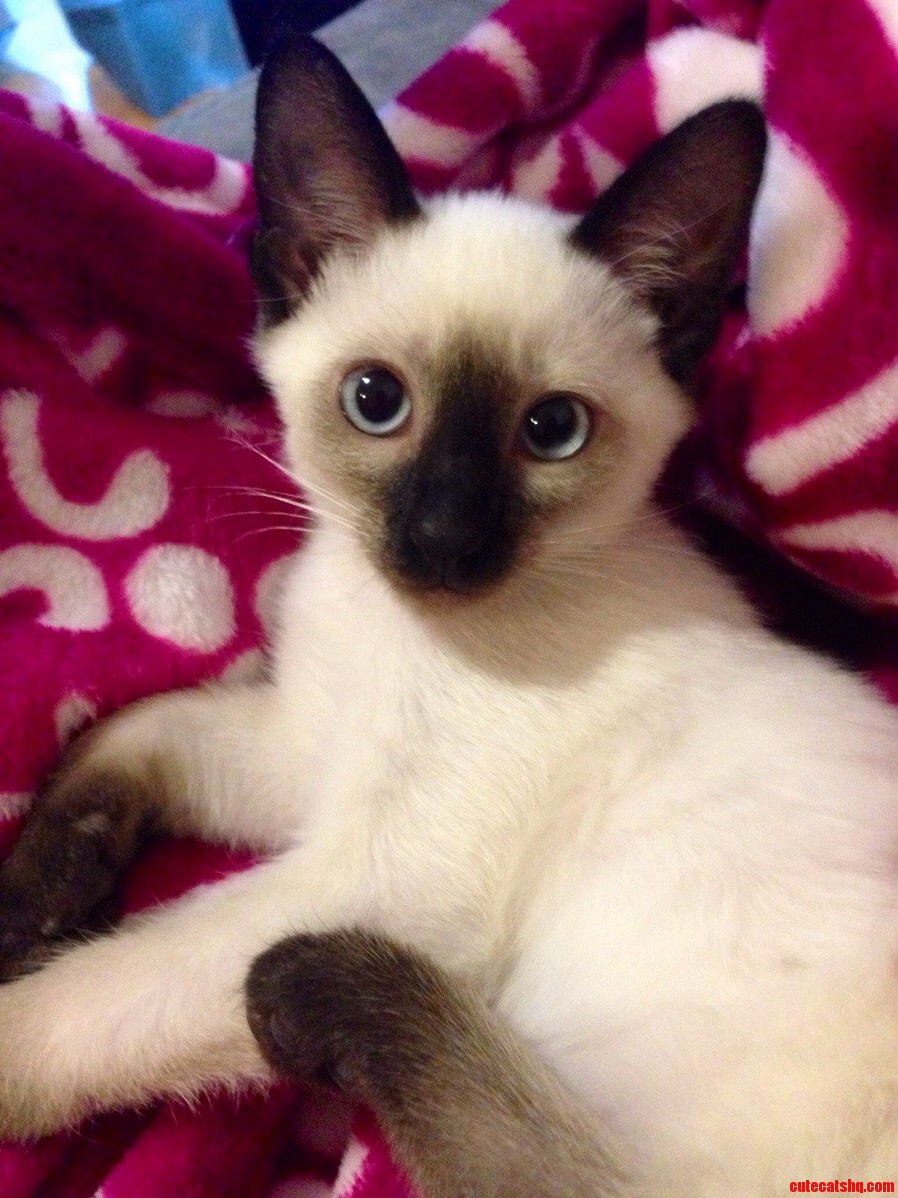 My Favorite Little Lady