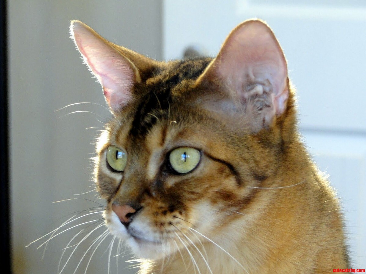 My Golden Boy...